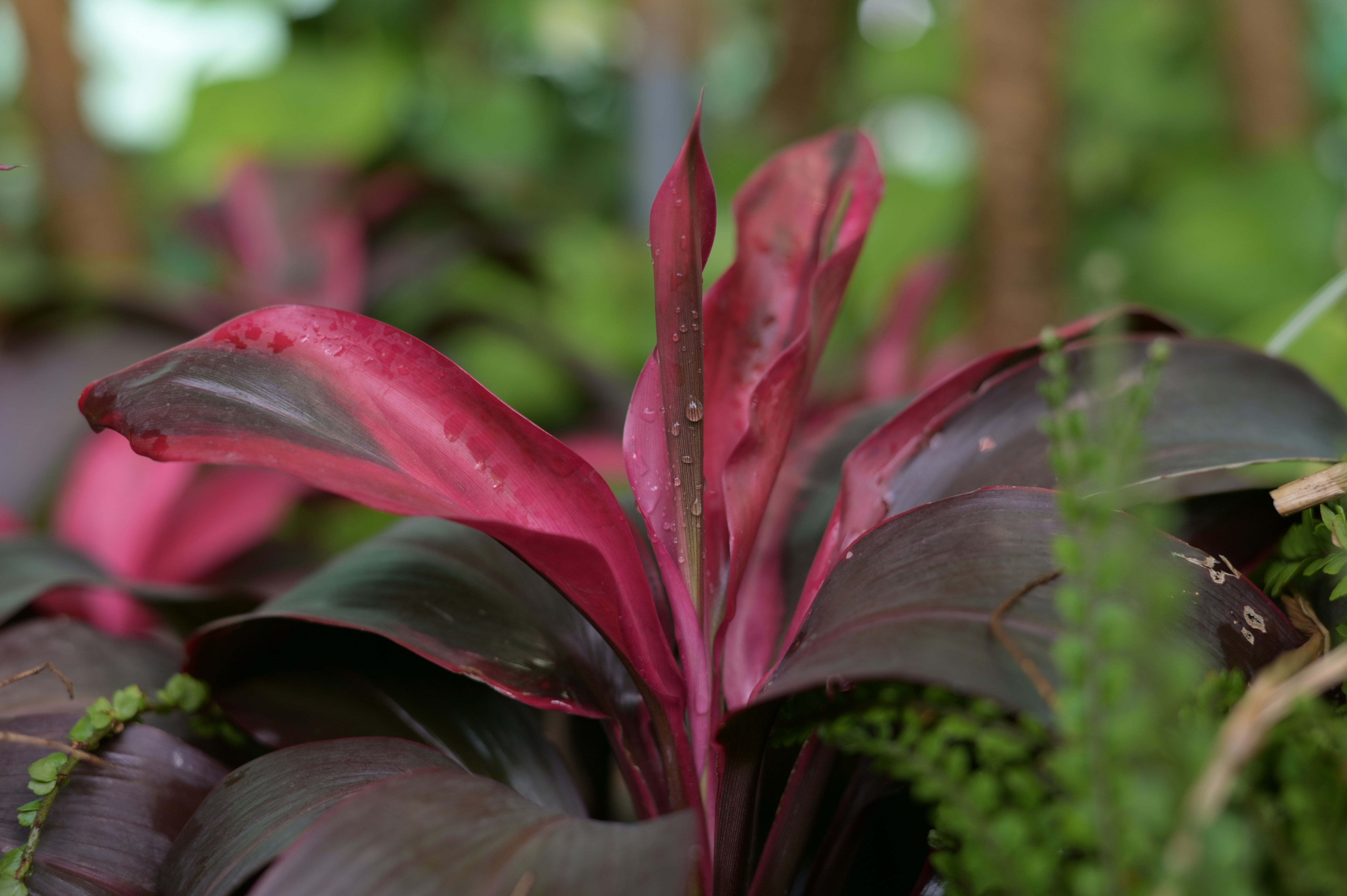 Photo by shafqatabbas