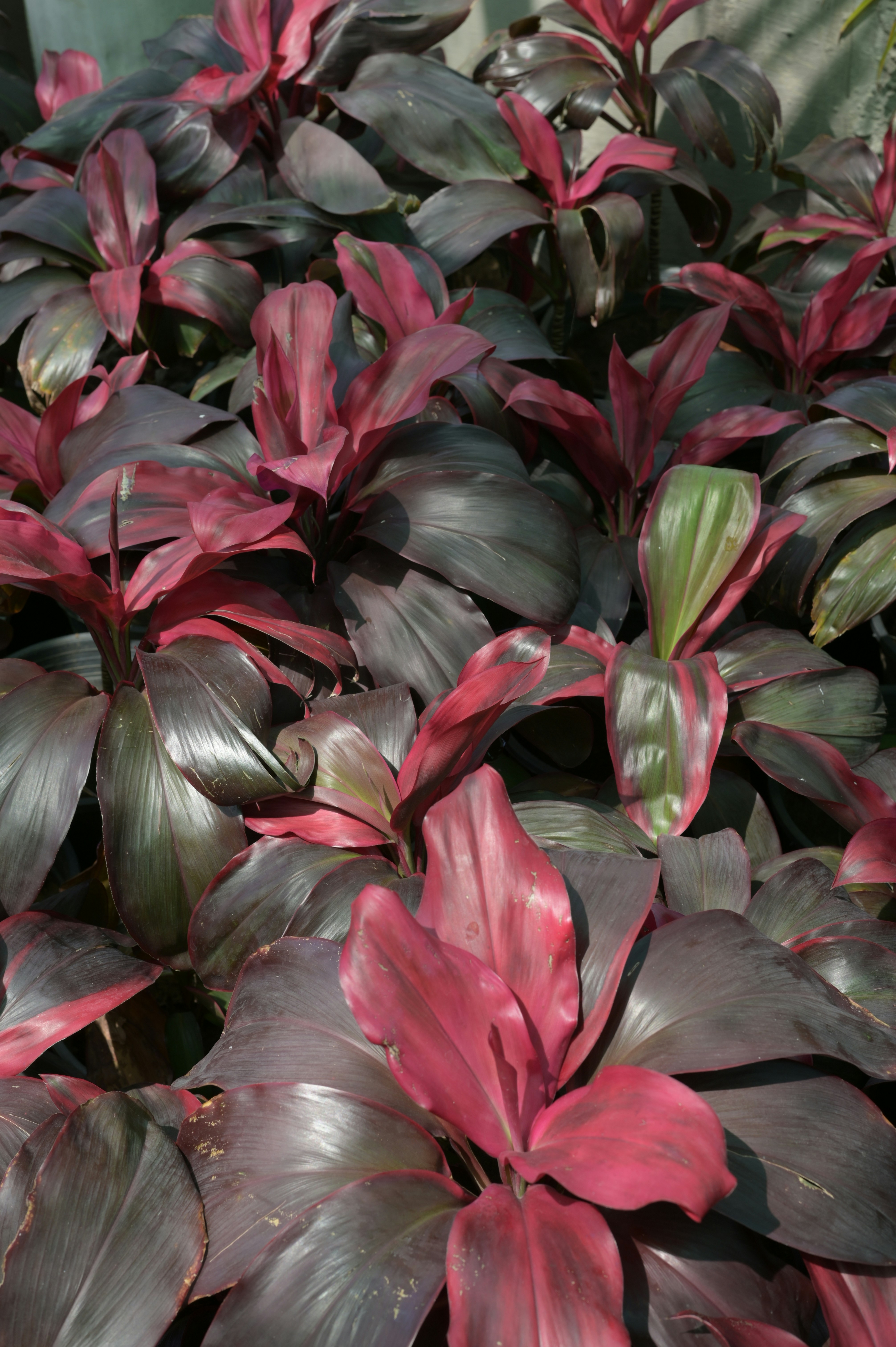 Photo by shafqatabbas