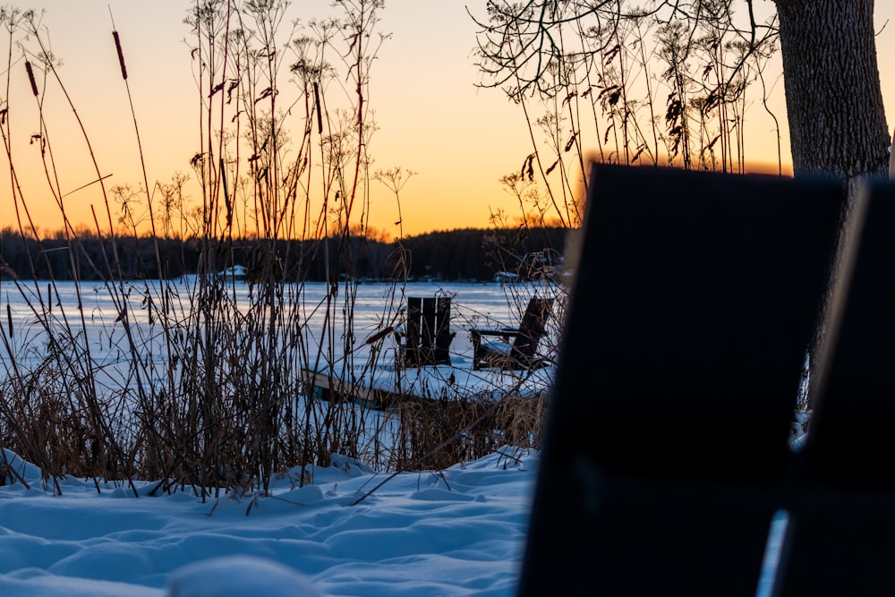 a bench sitting in the snow next to a tree