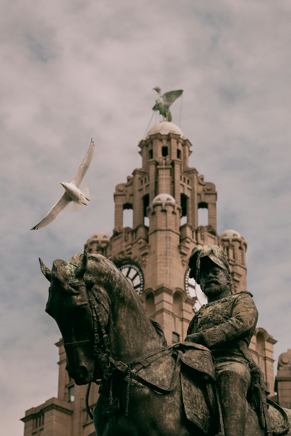 a statue of a man on a horse with a bird flying by