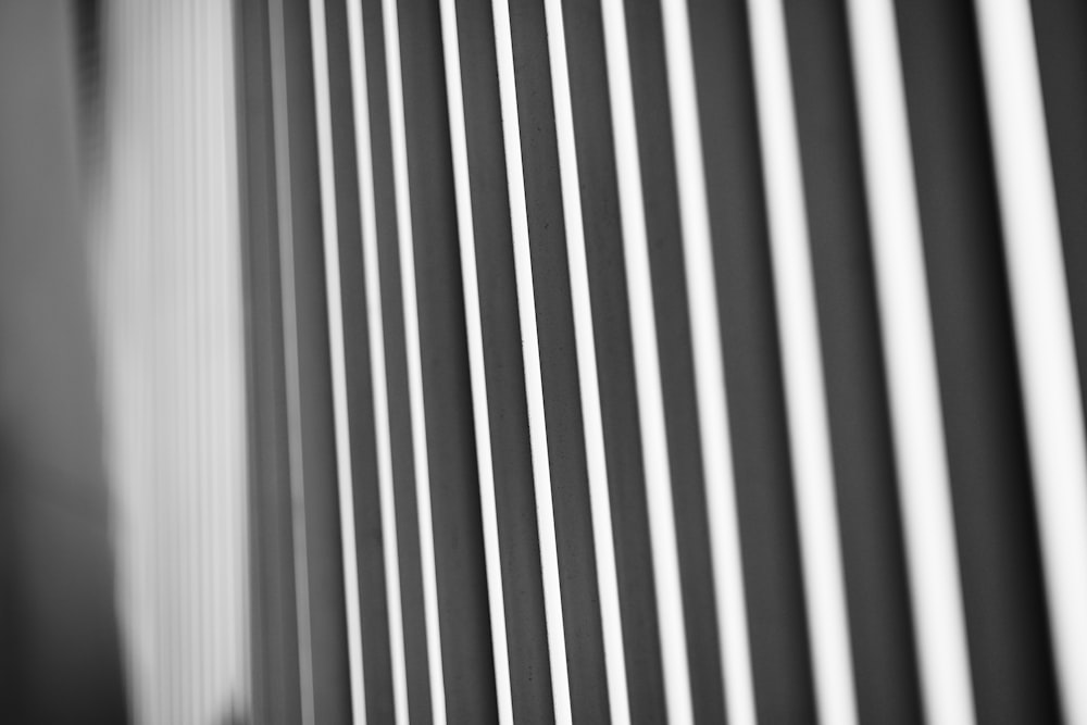 a black and white photo of vertical blinds