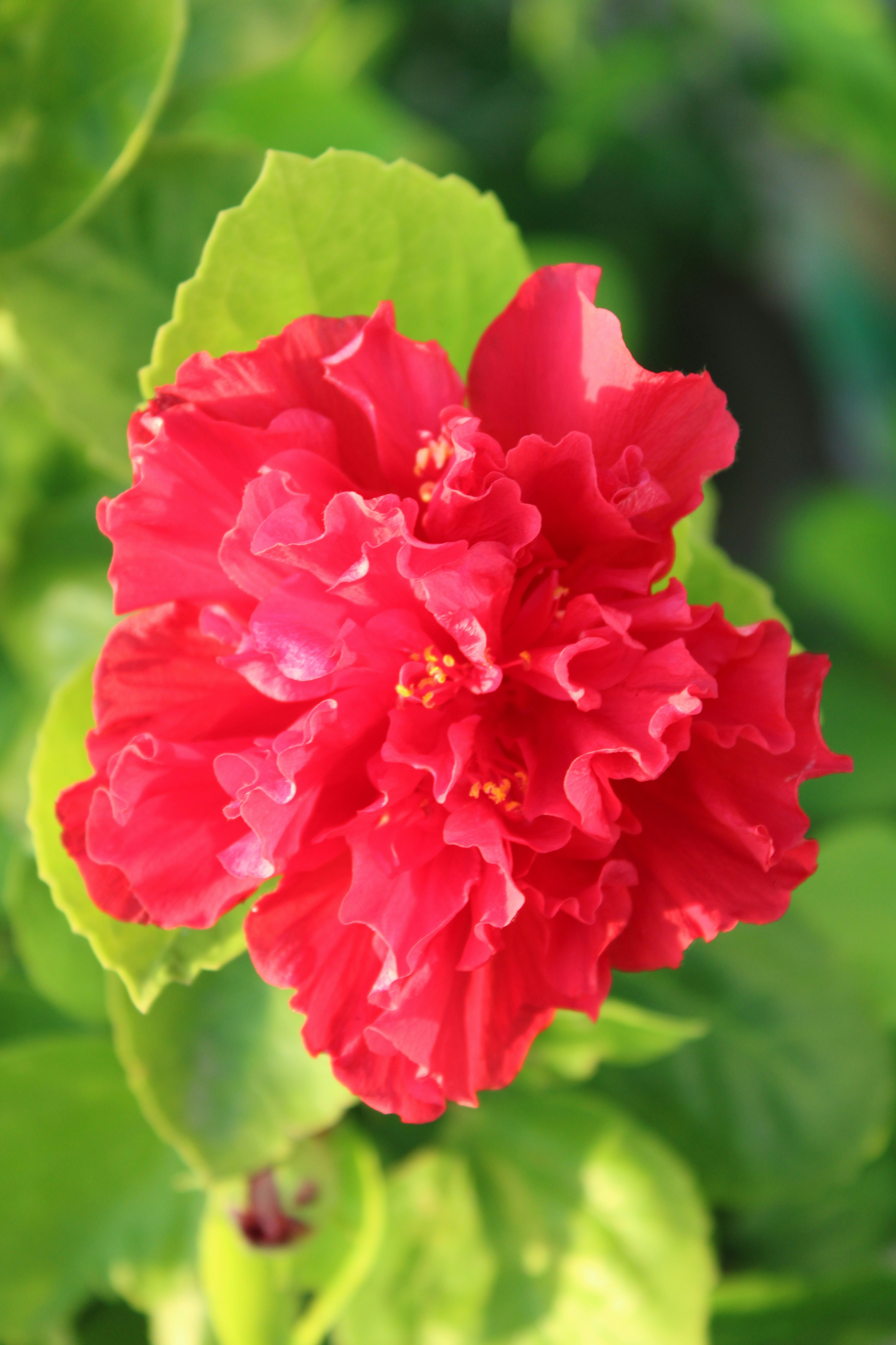 Photo by photoloveramico