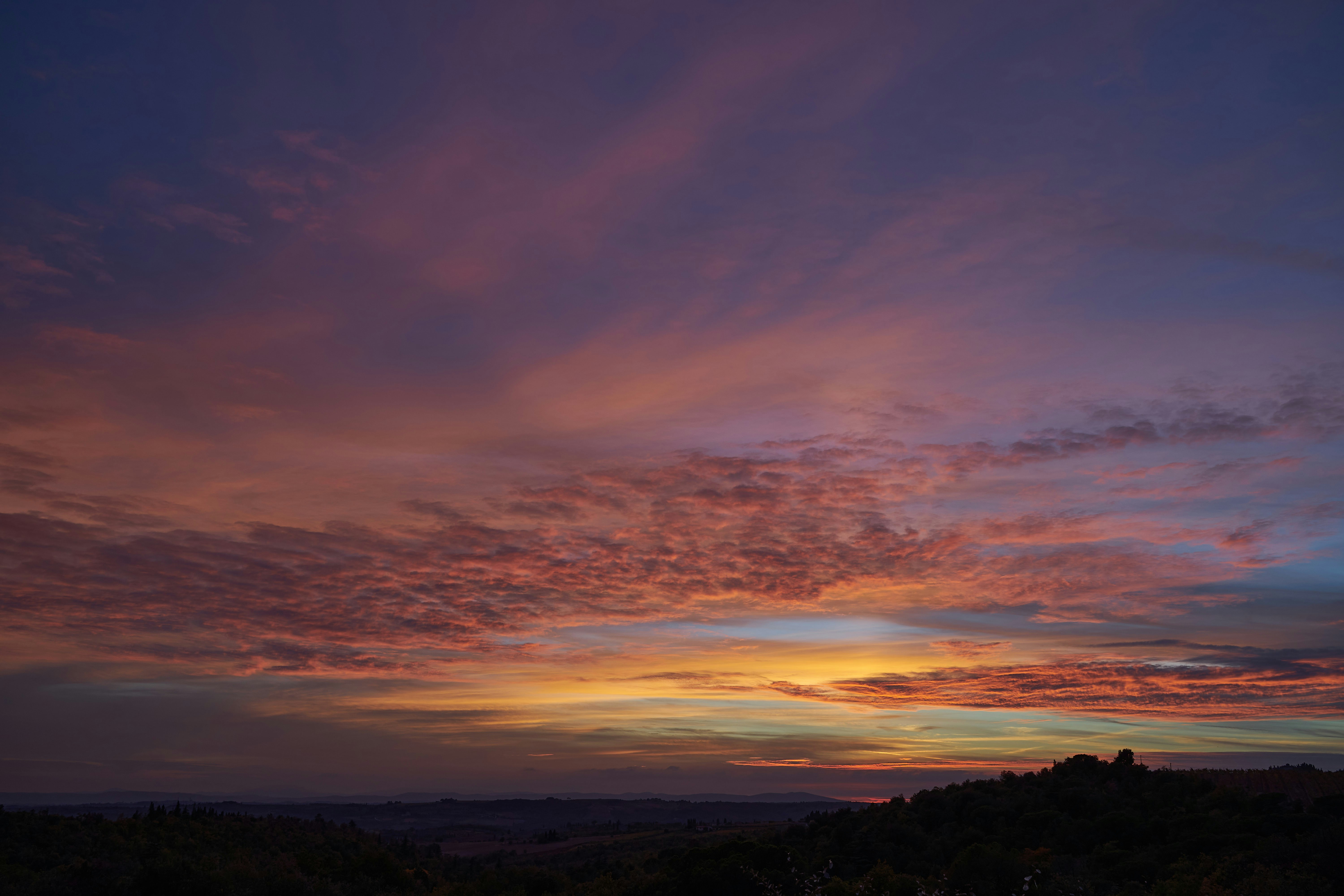 Photo by wolfgang_hasselmann