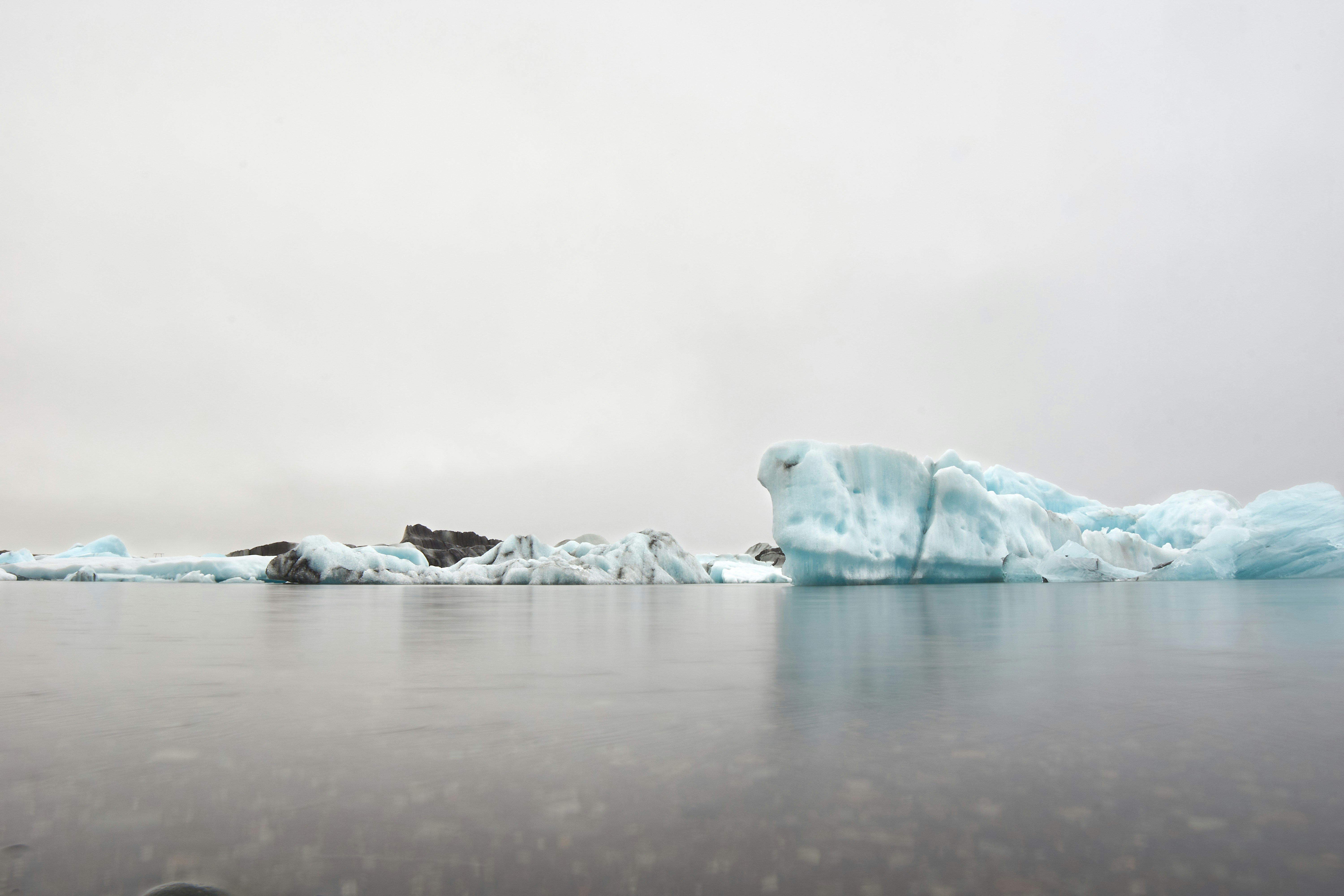 Photo by wolfgang_hasselmann