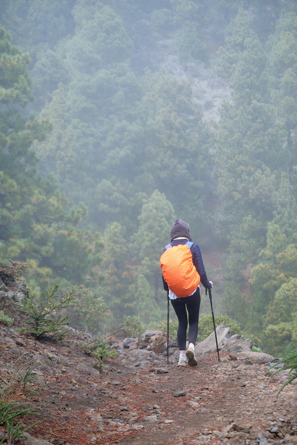 a person with a backpack and skis walking up a hill