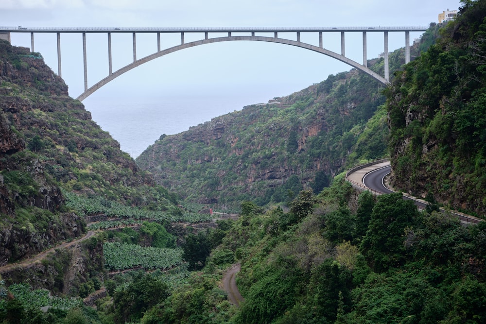 a bridge over a mountain with a road going through it