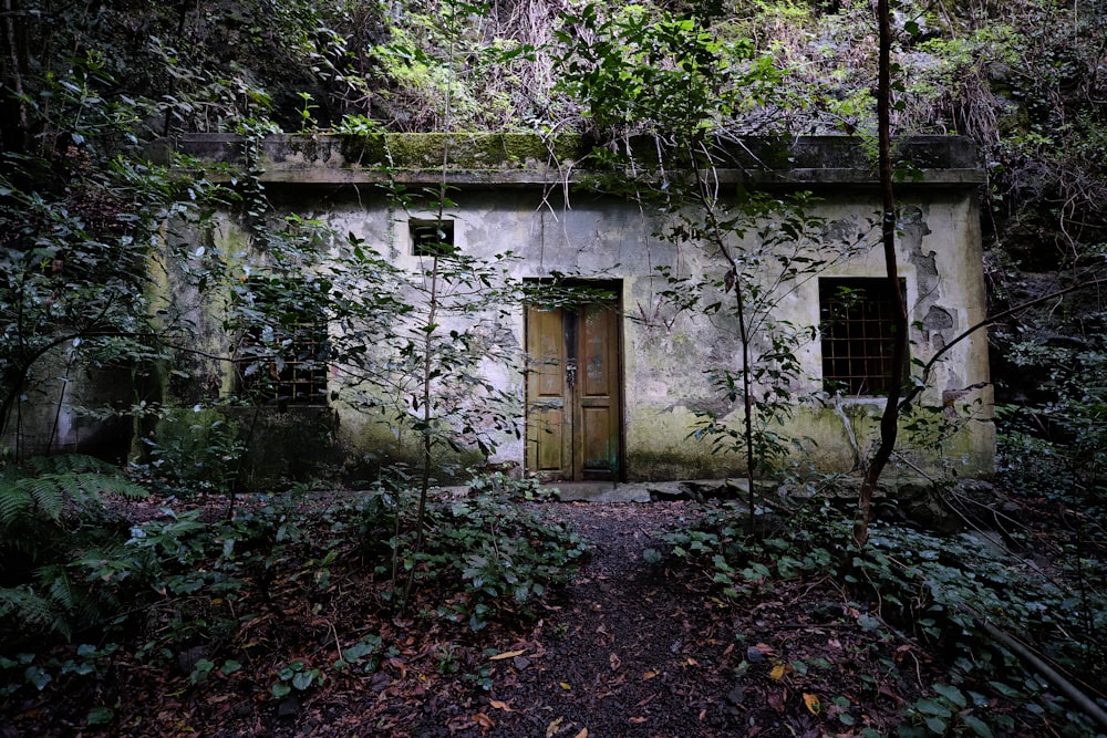 a run down building in the middle of a forest
