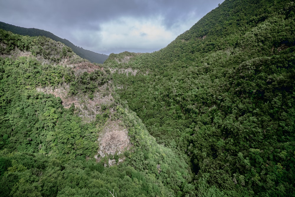 a view of a lush green mountain side