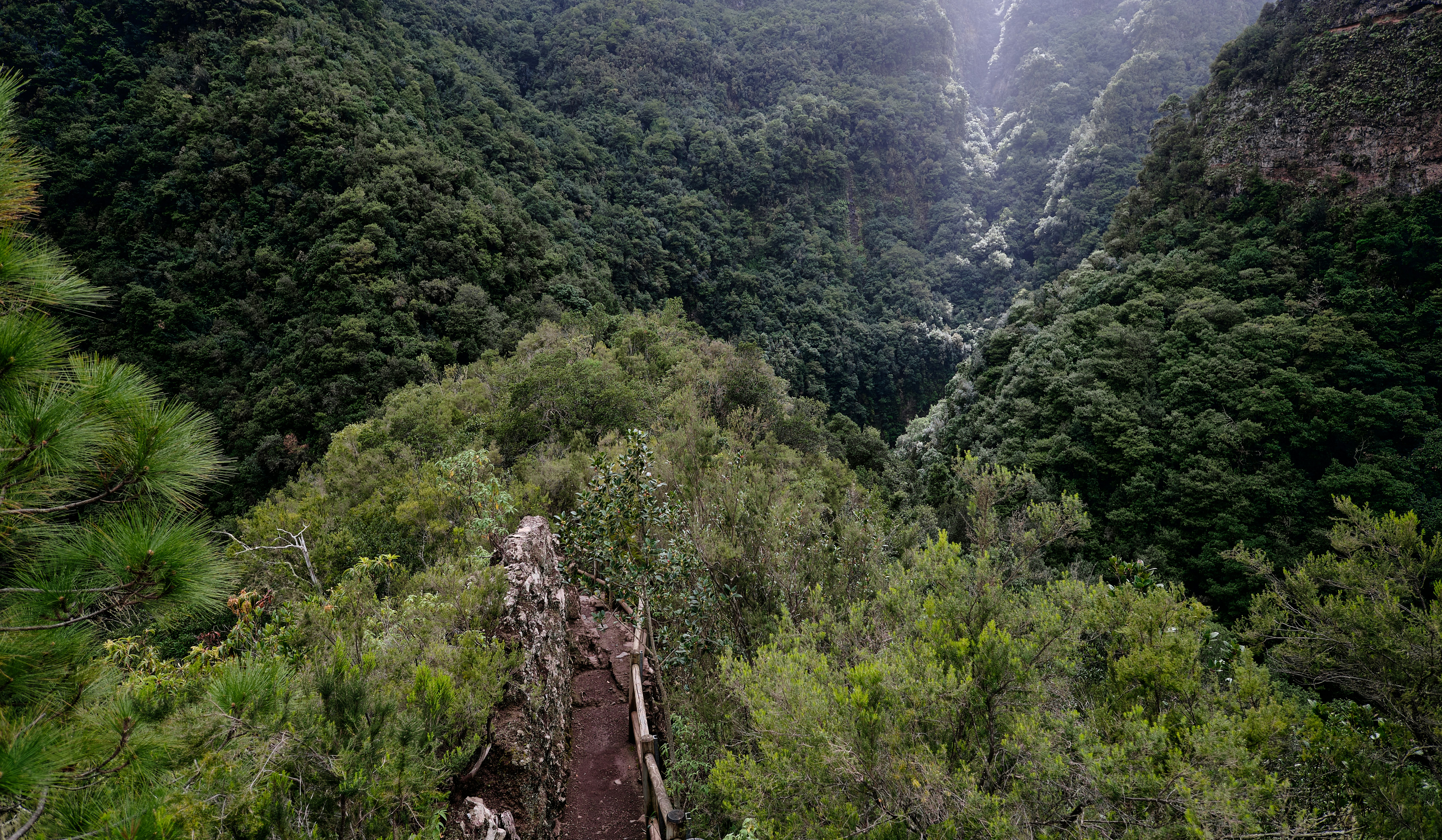 Imágenes de Hunua Ranges Regional Park Falls Road | Descarga imágenes ...