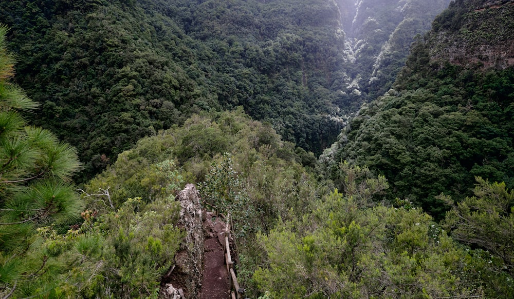 a view of a mountain with trees and mountains in the background