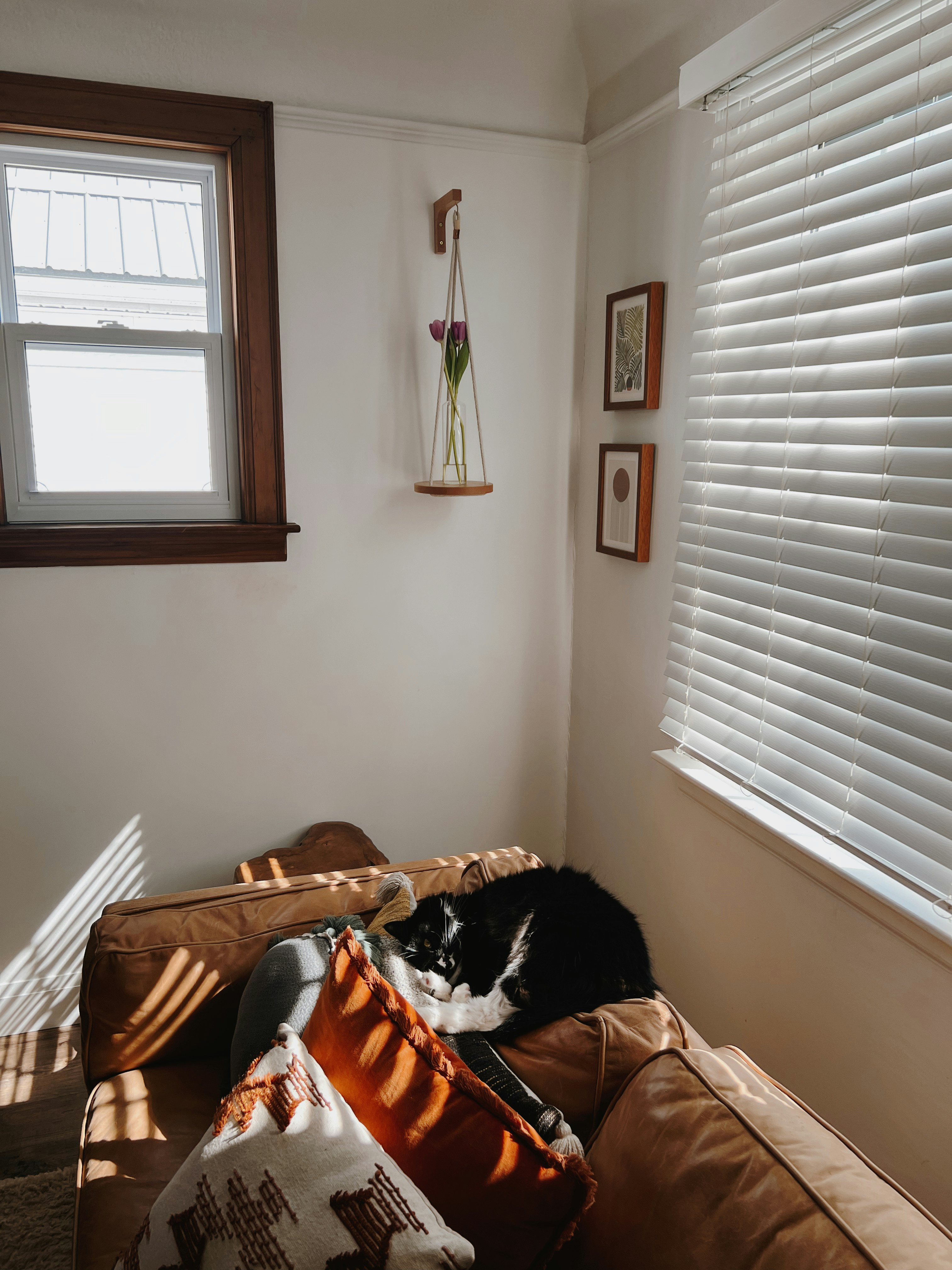 a black and white cat laying on top of a couch