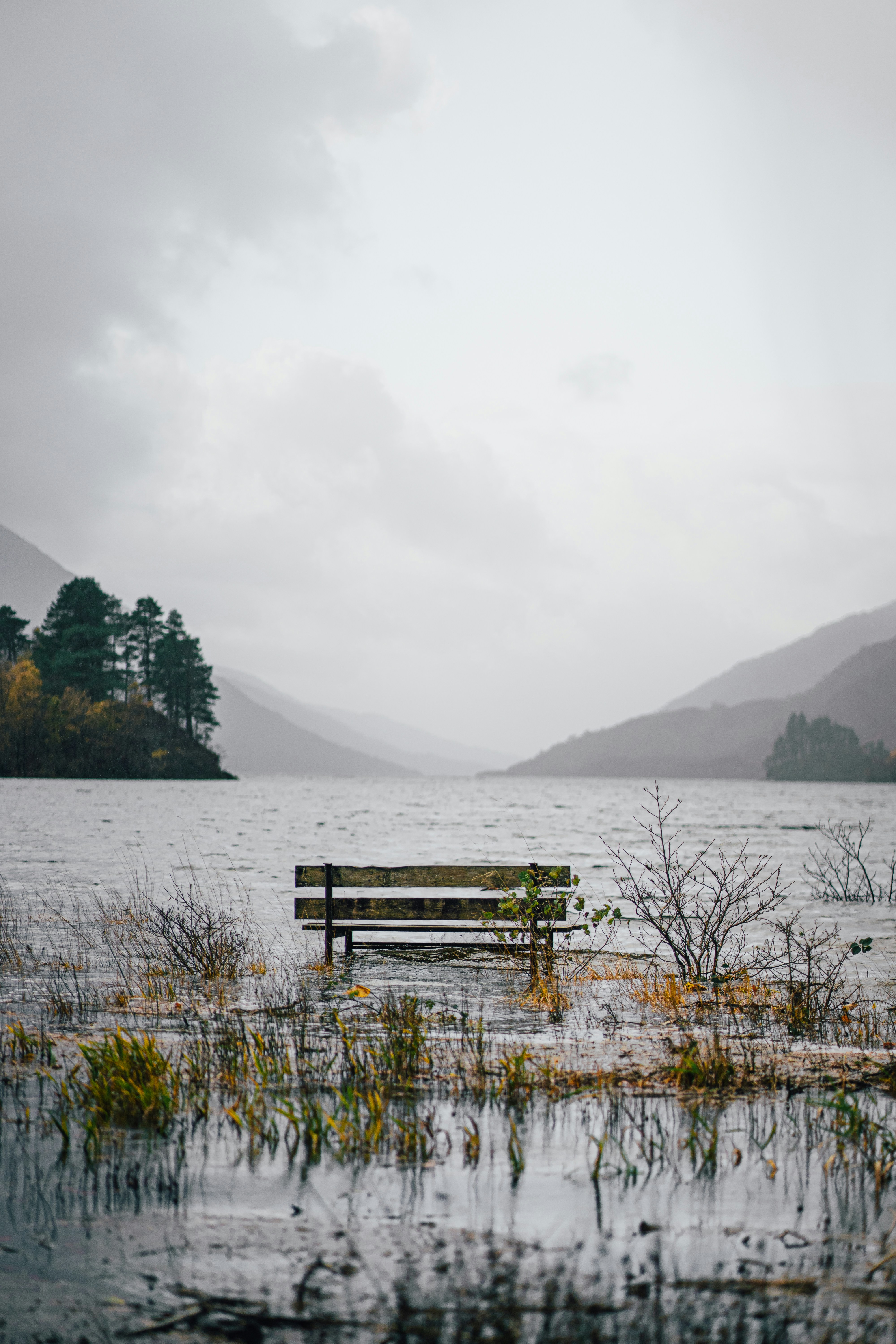 a wooden bench sitting in the middle of a lake