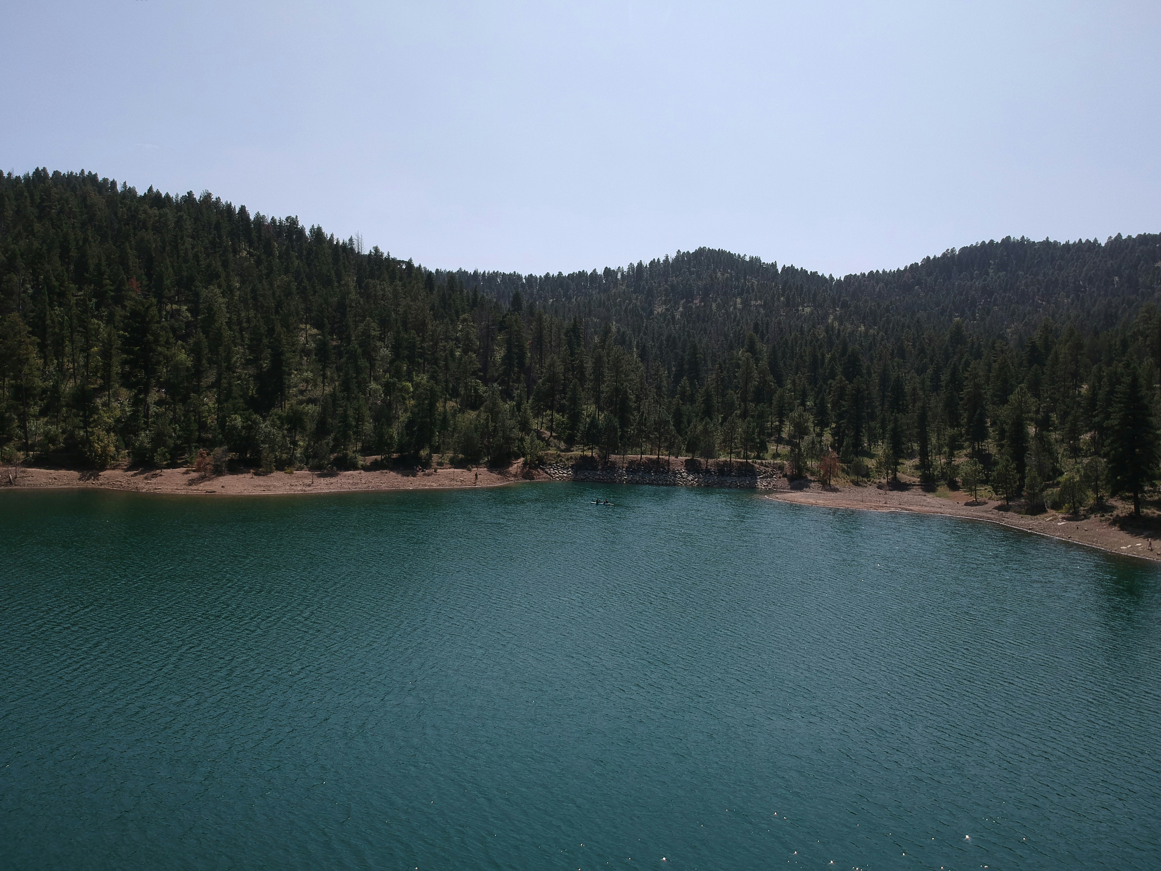 a large body of water surrounded by a forest