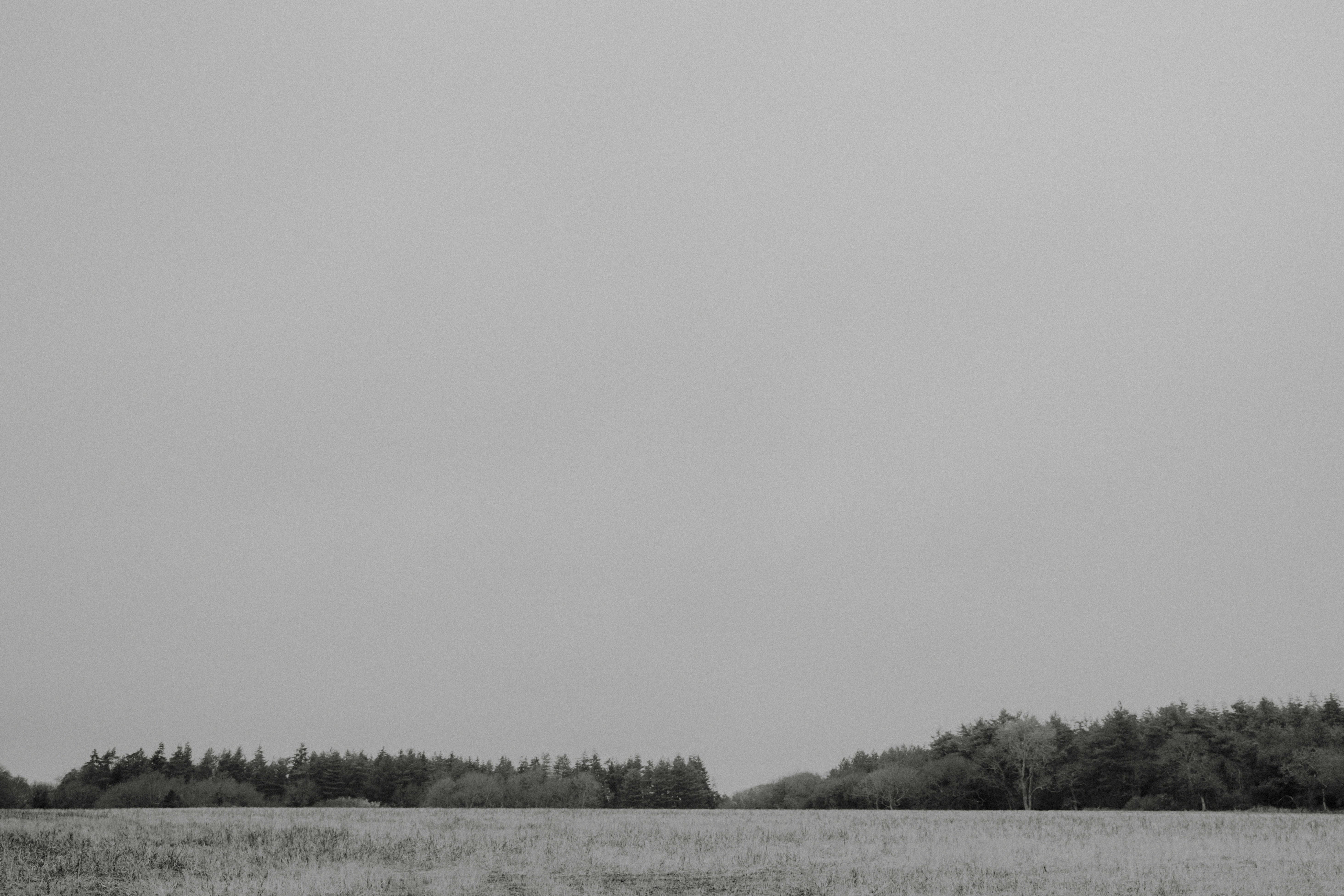 Photo by anniespratt