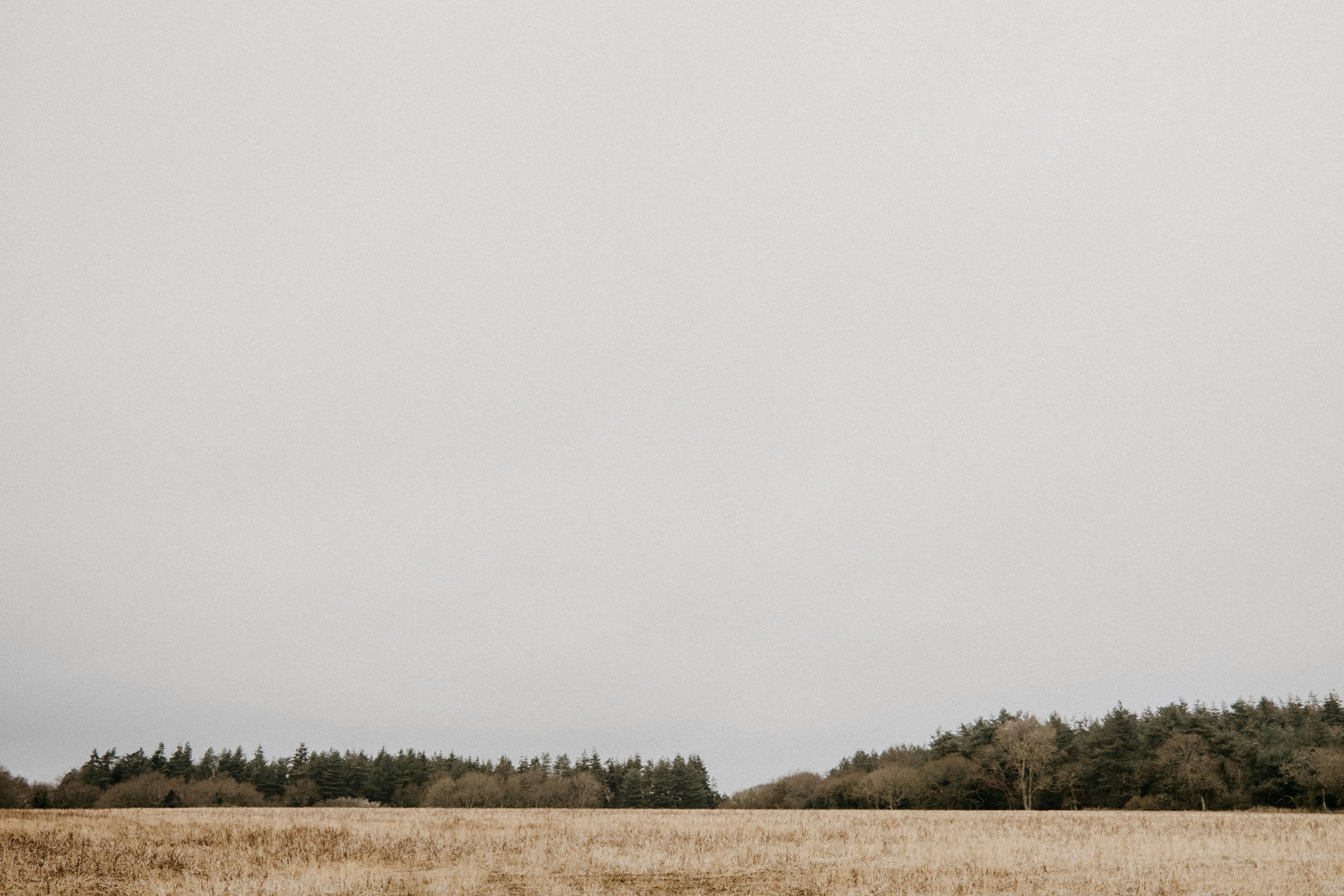 Photo by anniespratt