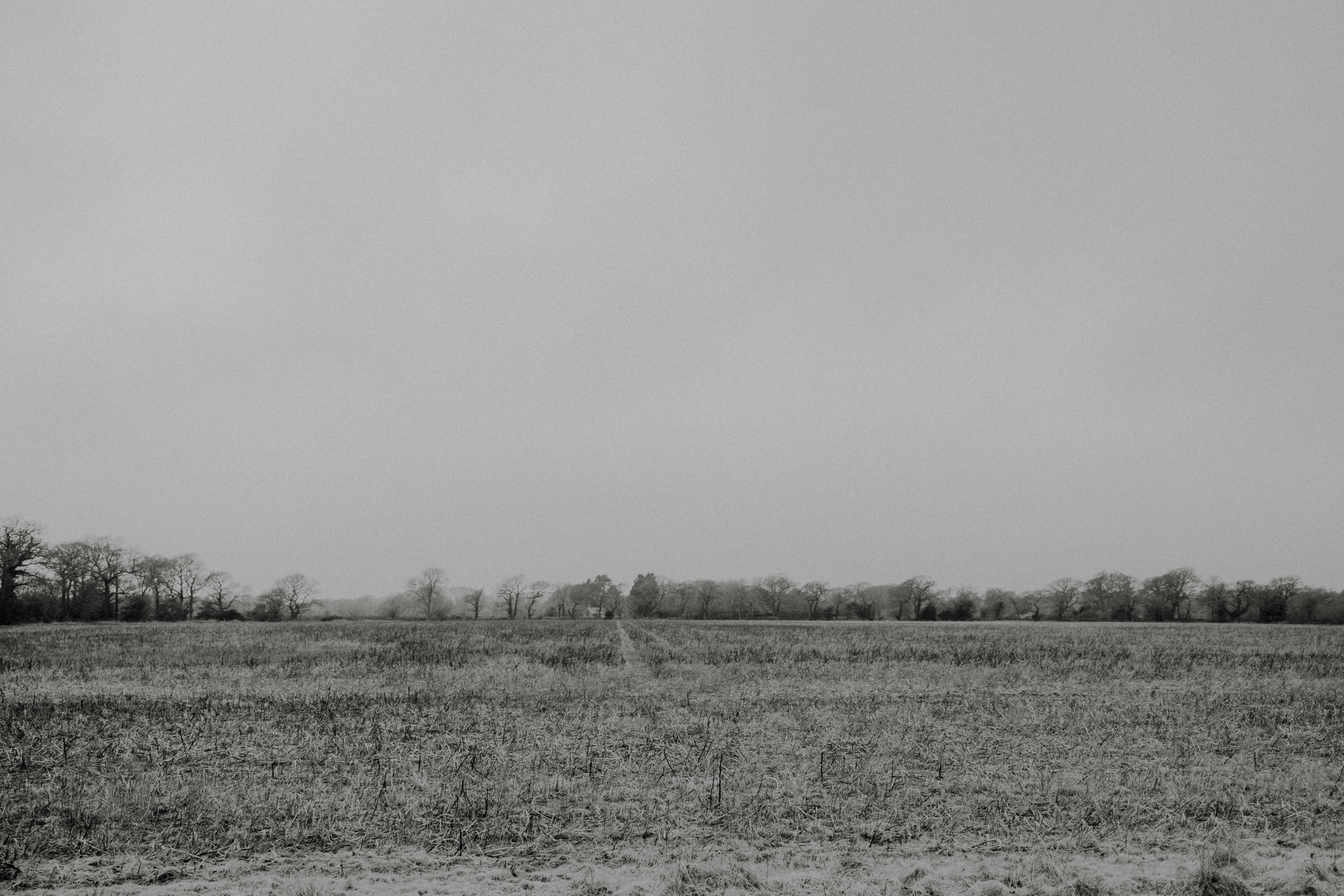 Photo by anniespratt