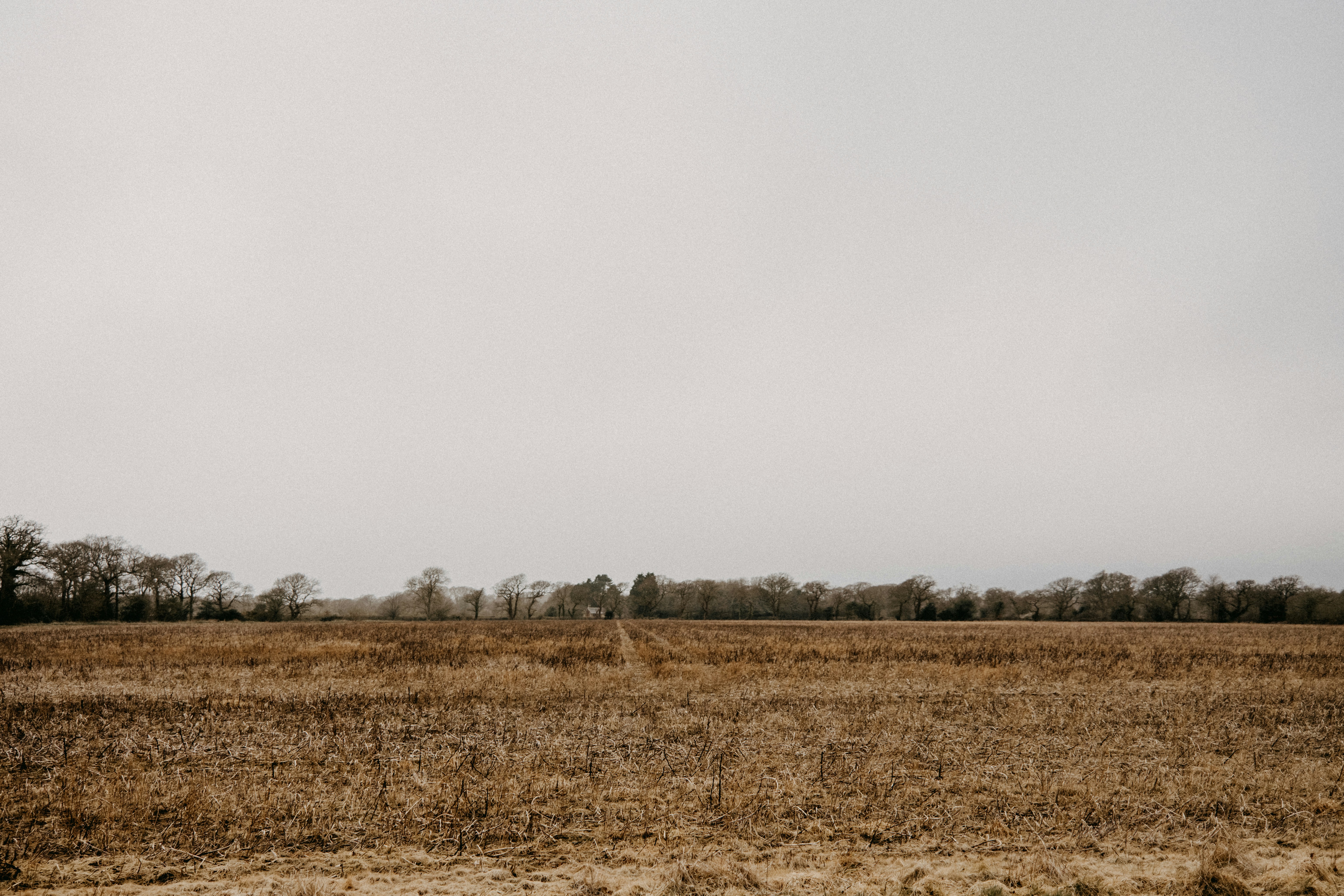 Photo by anniespratt