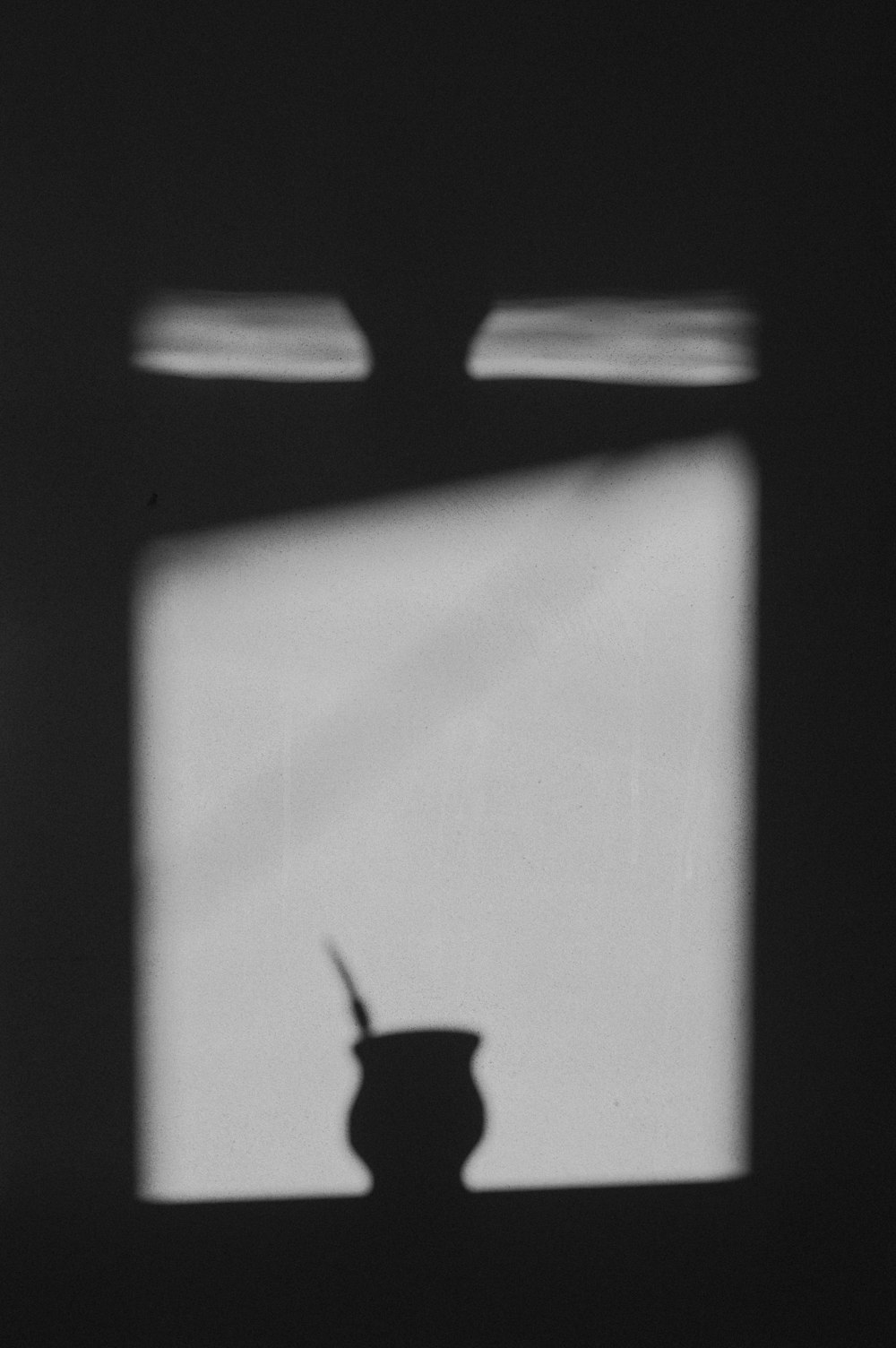 a black and white photo of a vase in a window