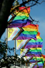 a group of rainbow colored flags blowing in the wind