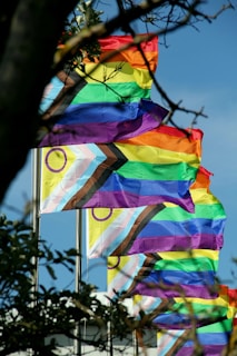 a group of pride flags blowing in the wind