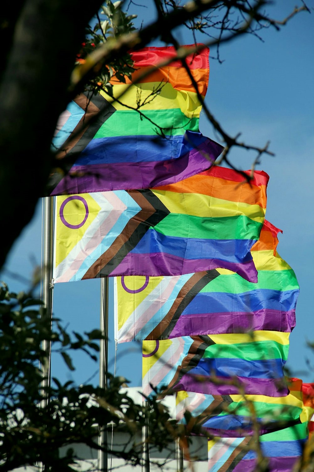 un grupo de banderas con los colores del arco iris ondeando en el viento