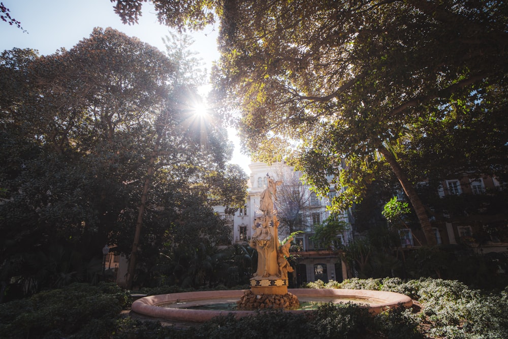 the sun shines through the trees over a fountain