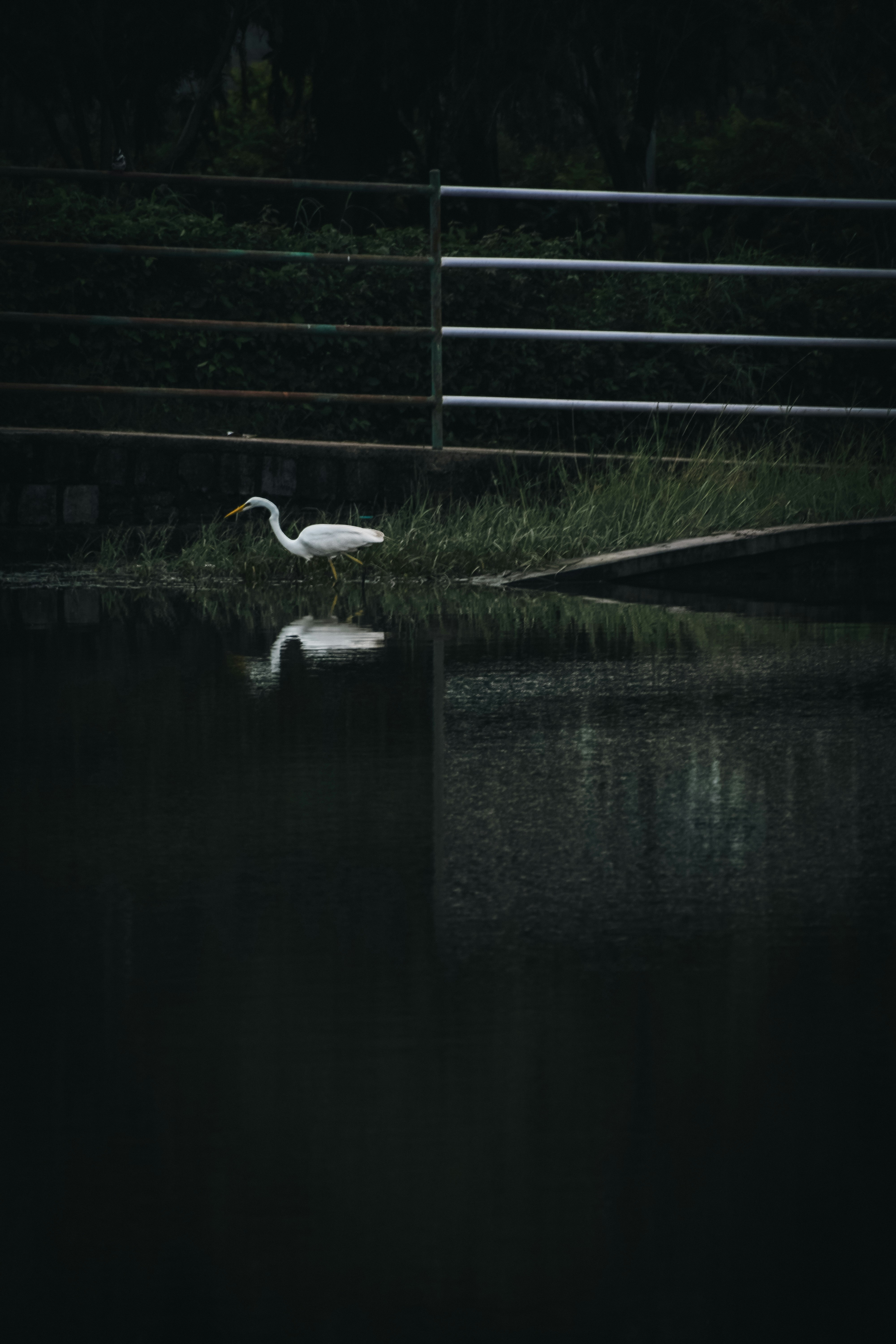 Photo by garv_4