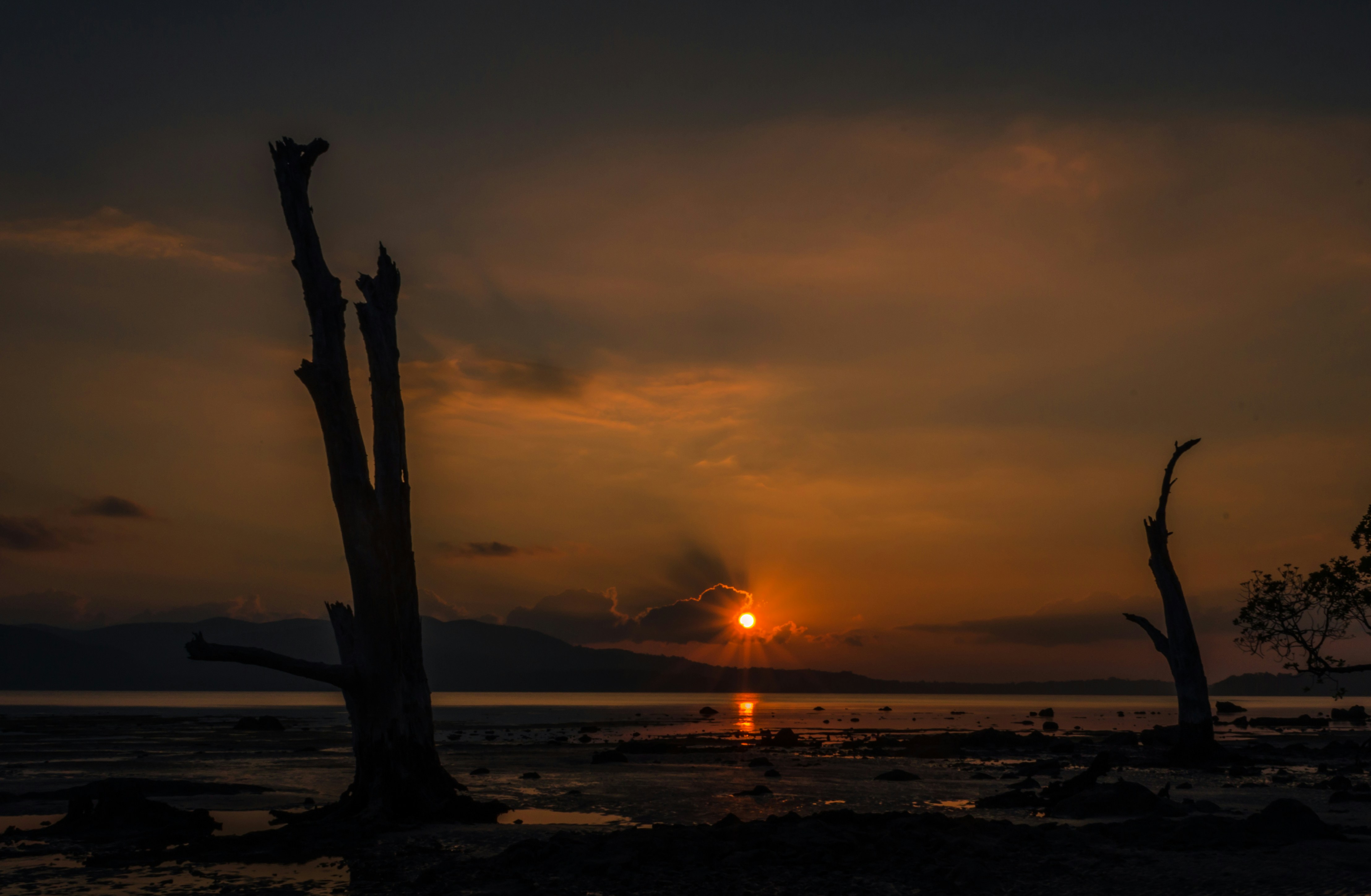 Photo by venki1525