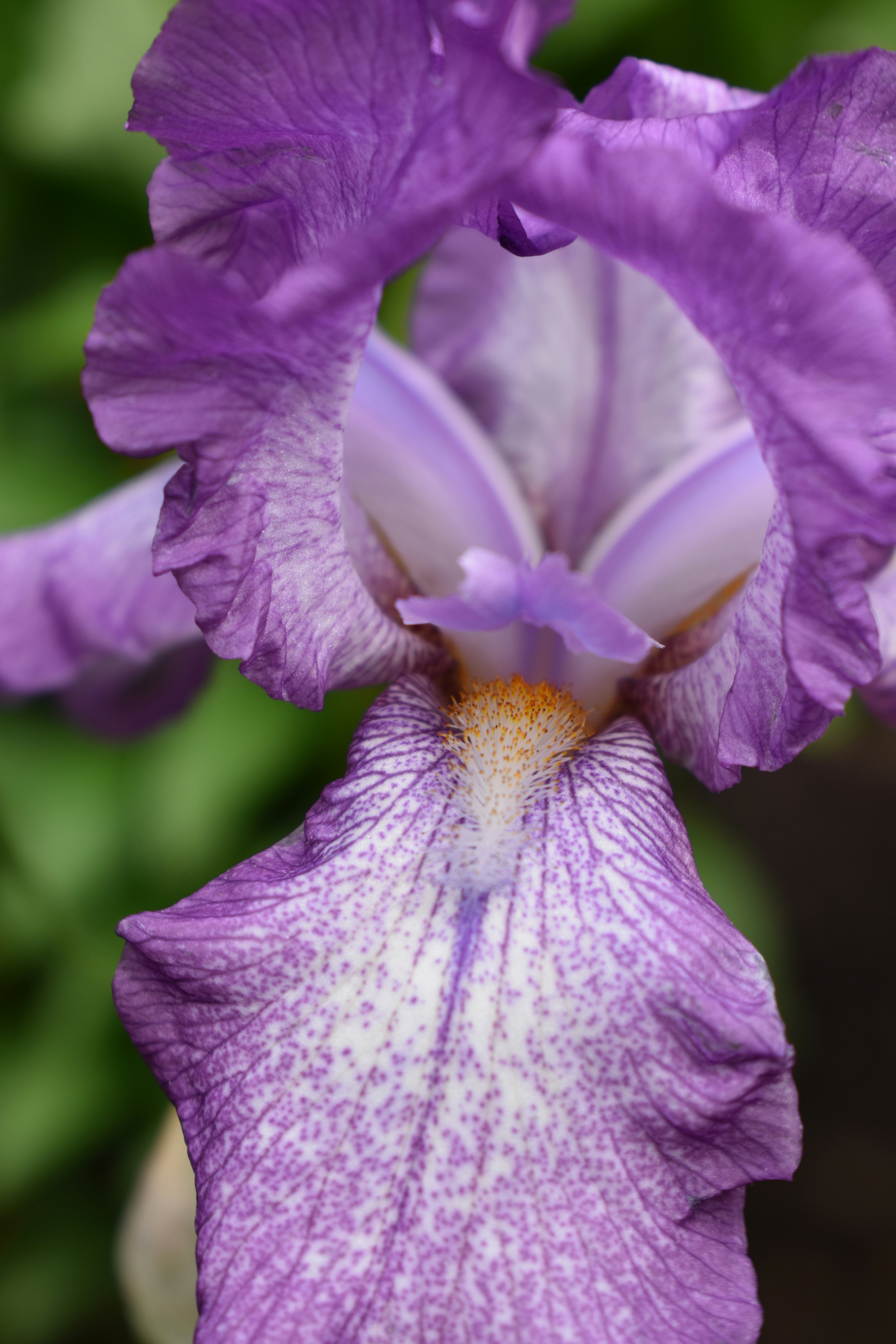 Photo by goddesstravels