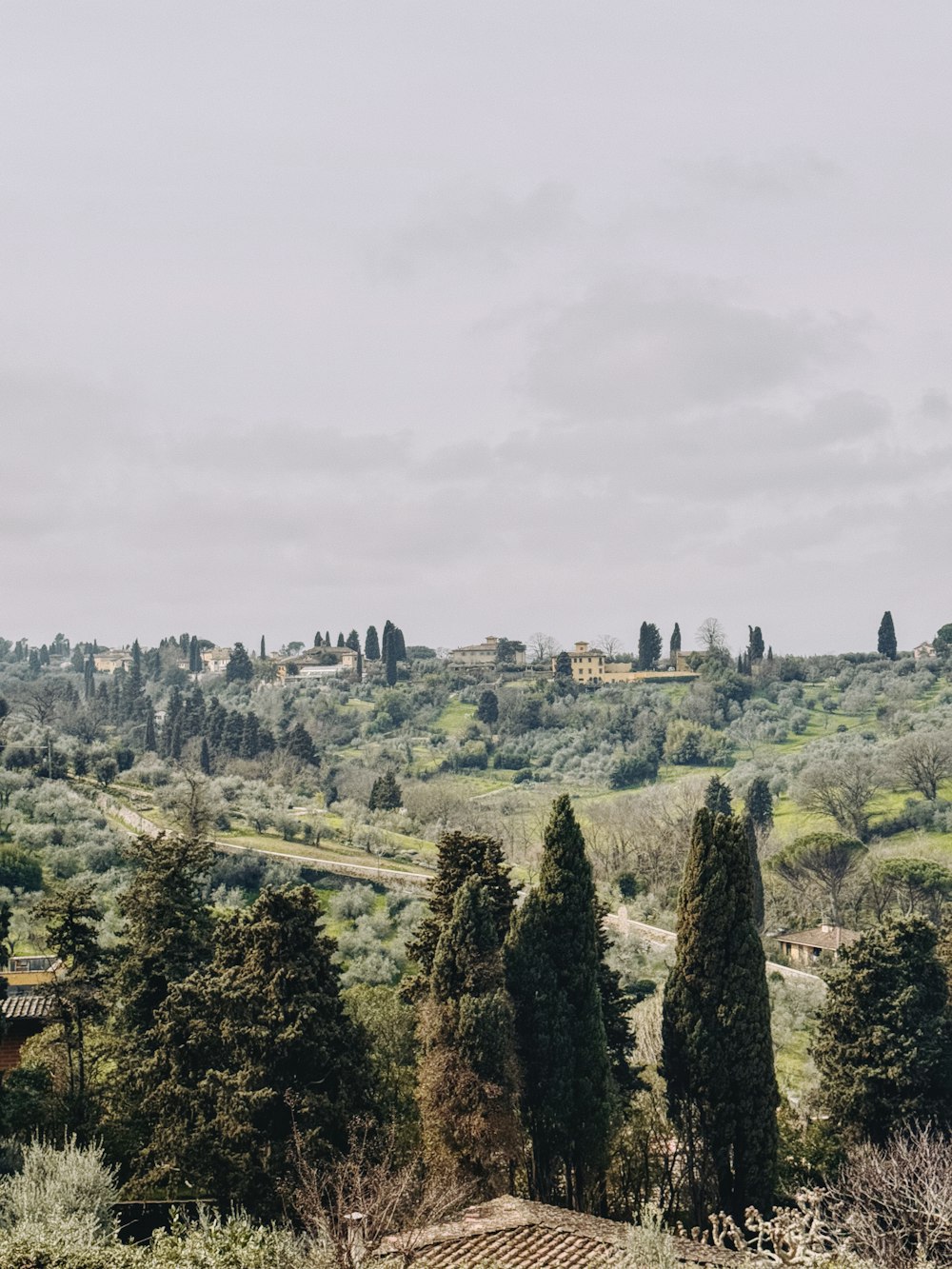 a view of a countryside with trees and buildings