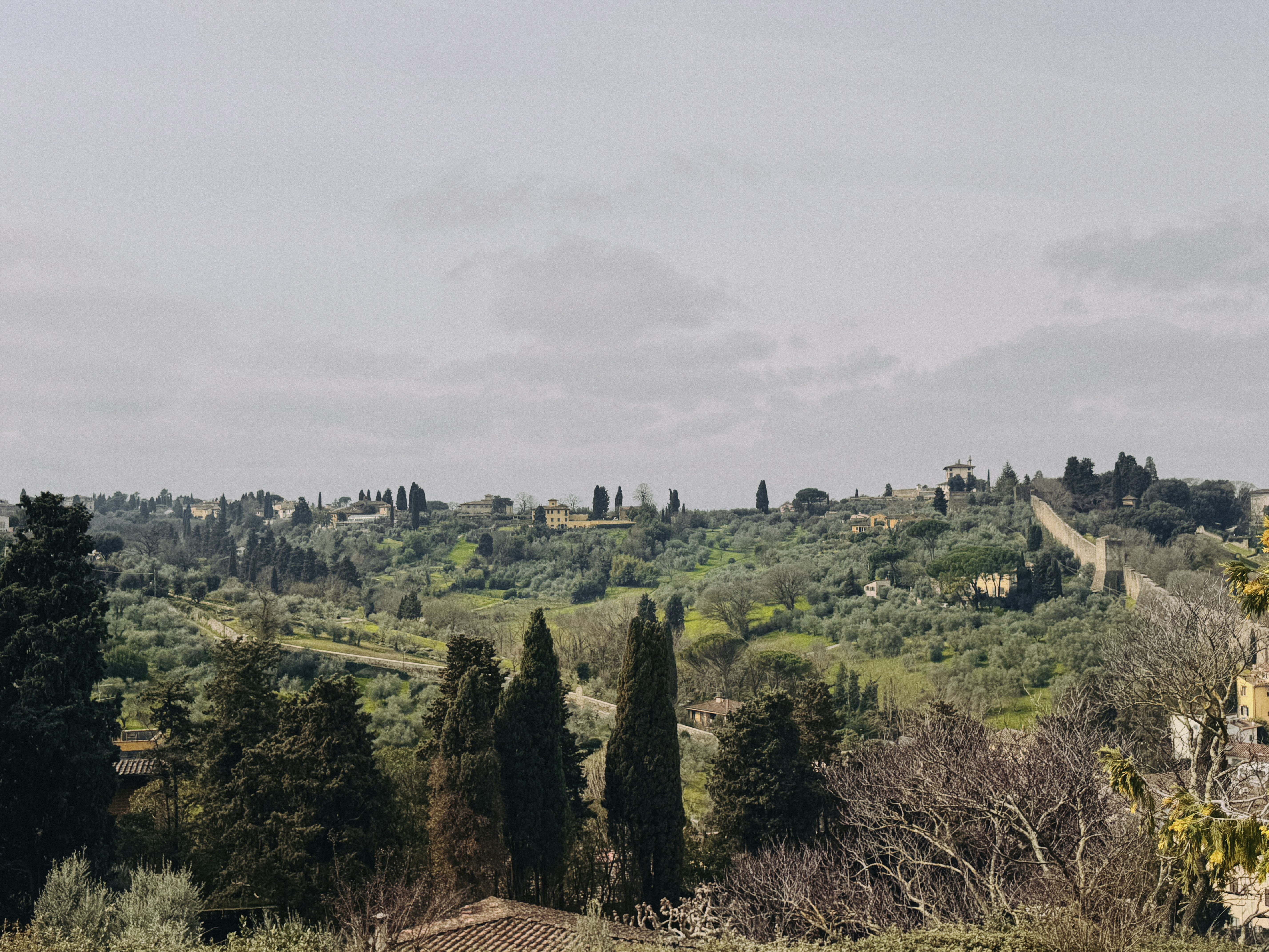 a scenic view of a hilly countryside with trees, Tuscany Italy