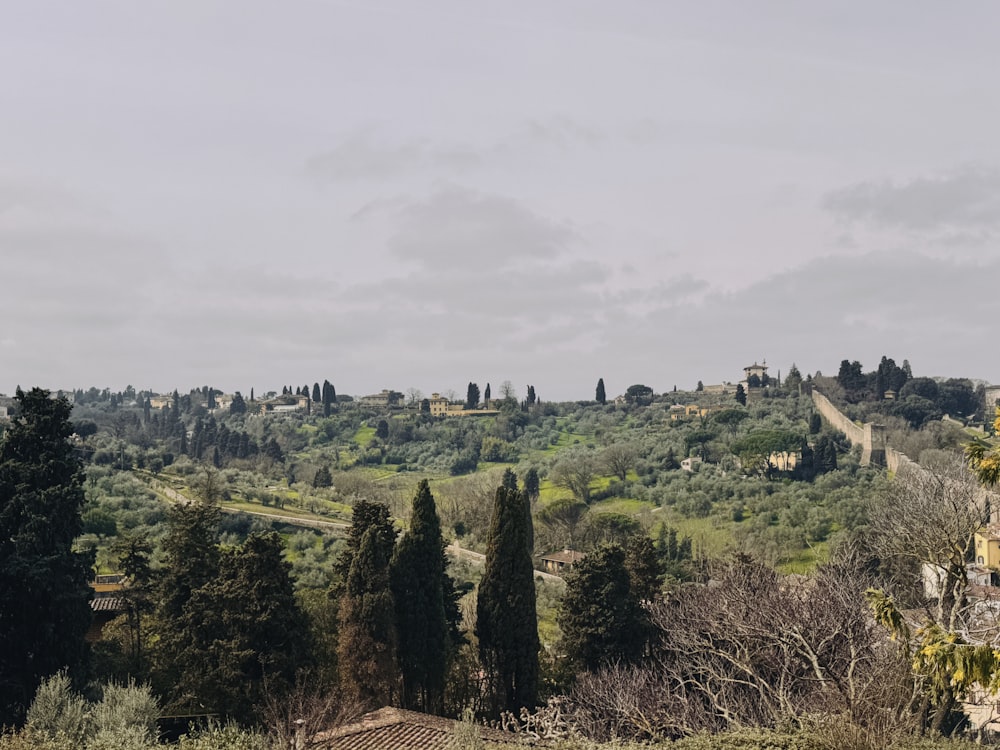 una vista panoramica su una campagna collinare con alberi