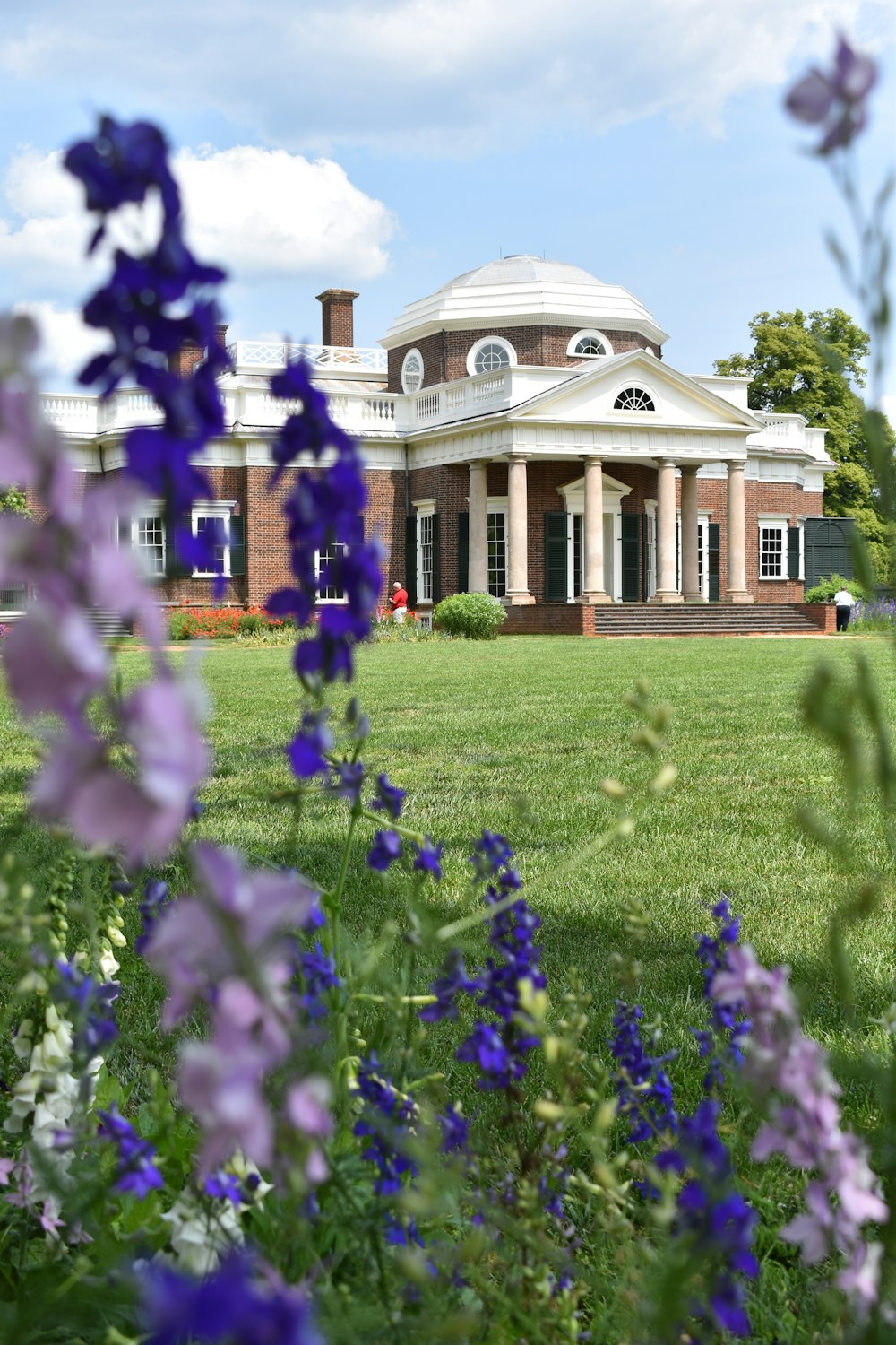 a large building with a lot of purple flowers in front of it