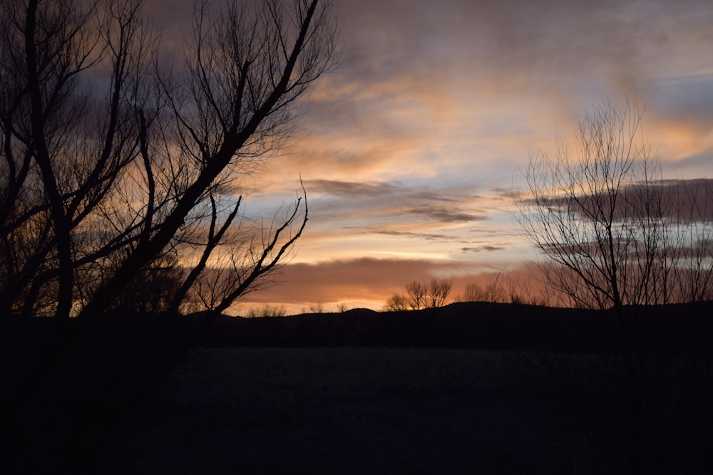 the sun is setting behind some bare trees