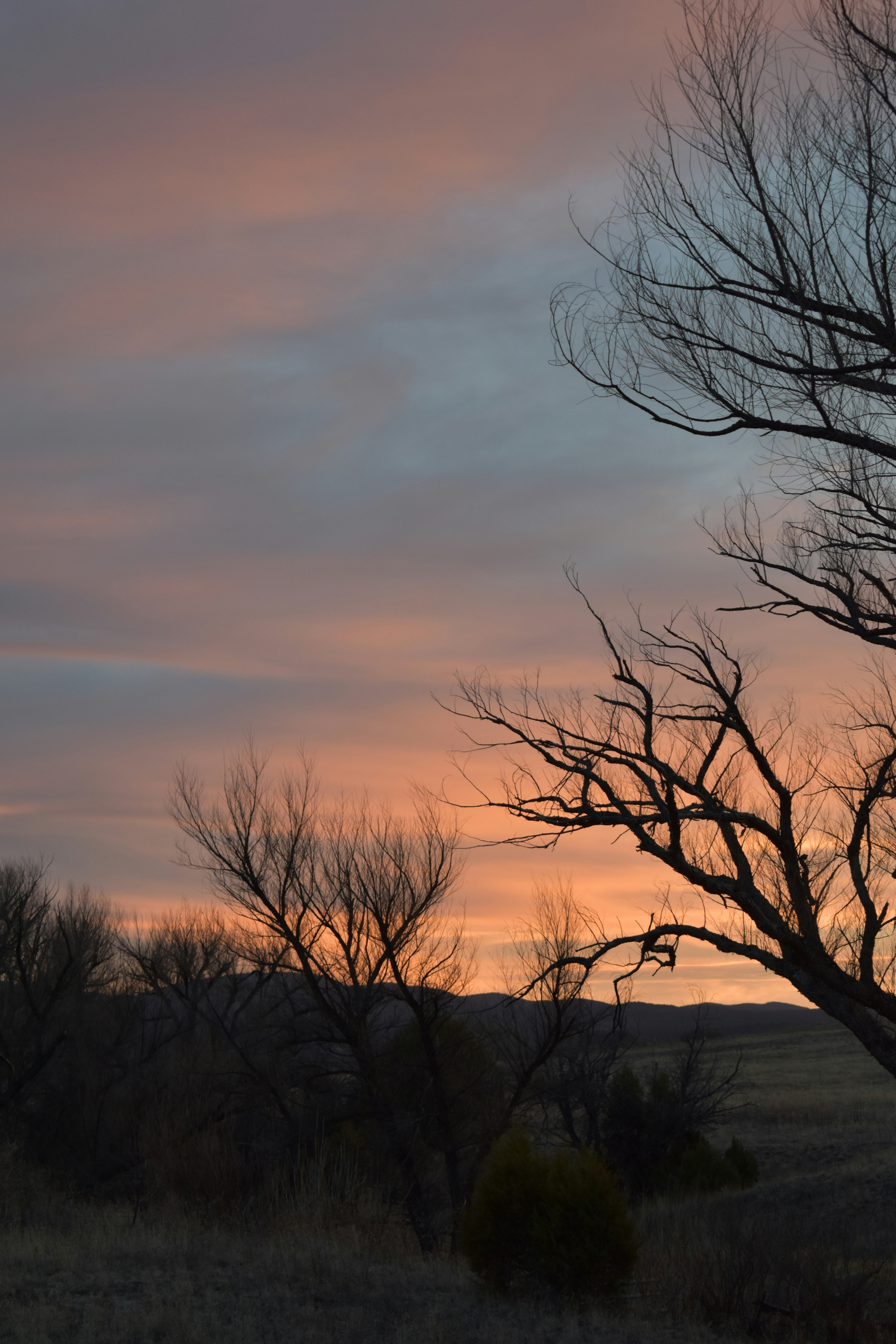 Photo by goddesstravels