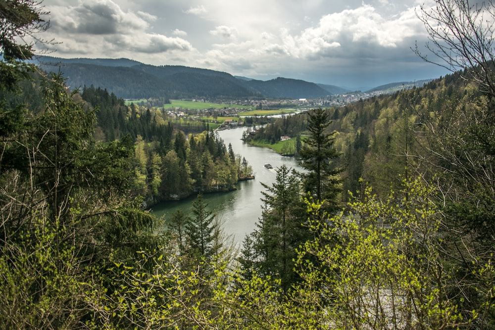 une rivière qui coule à travers une forêt verdoyante