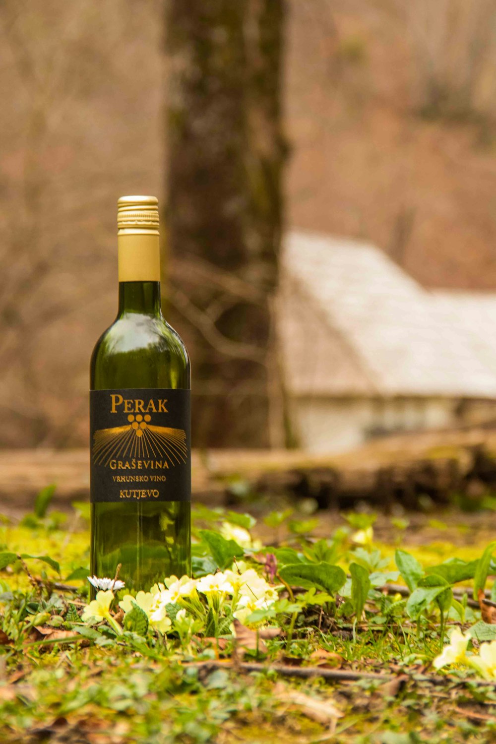 a bottle of wine sitting in the grass