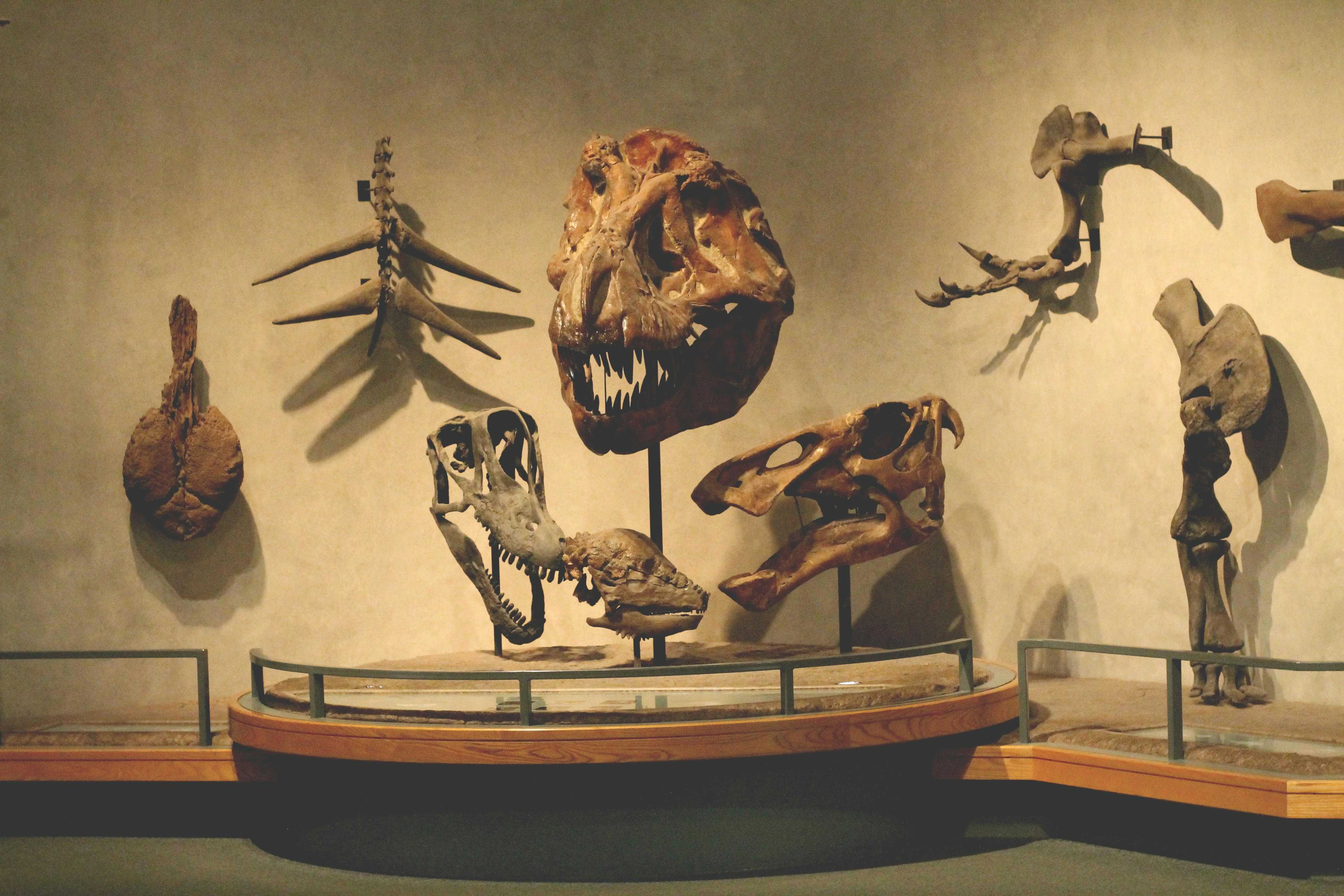 Permission Before the Shovel: NAGPRA and the Quiet Revolution in American Archaeology