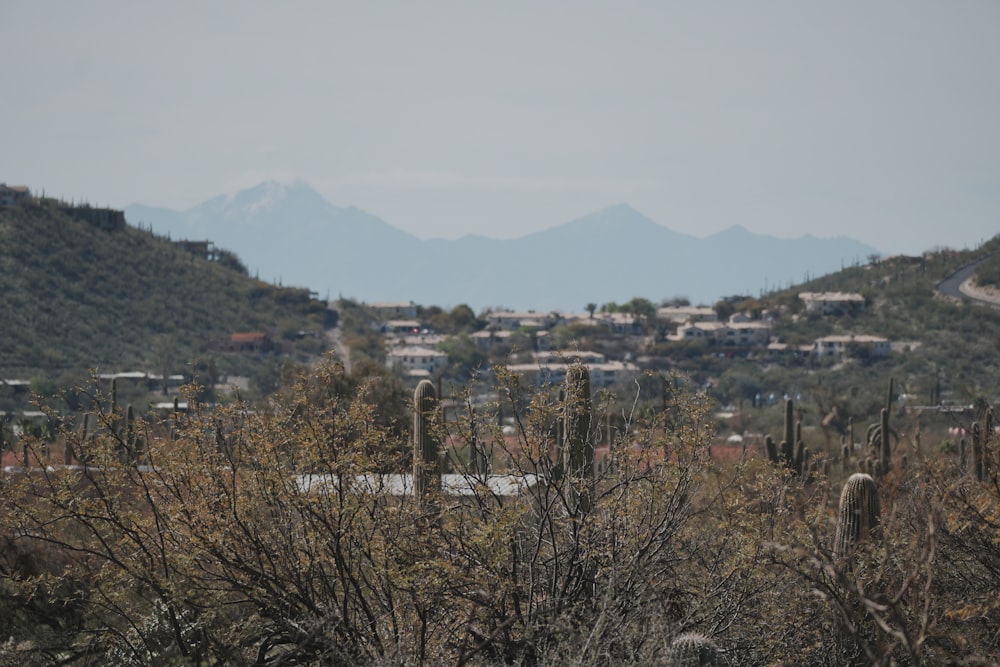 a view of a city with mountains in the background