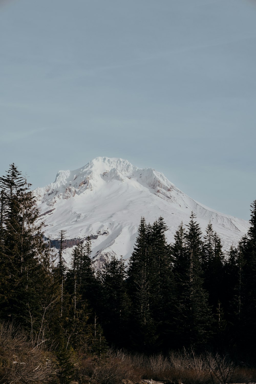 a snow covered mountain surrounded by pine trees