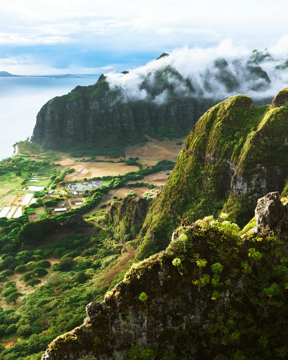 a view of a lush green valley with a mountain in the background