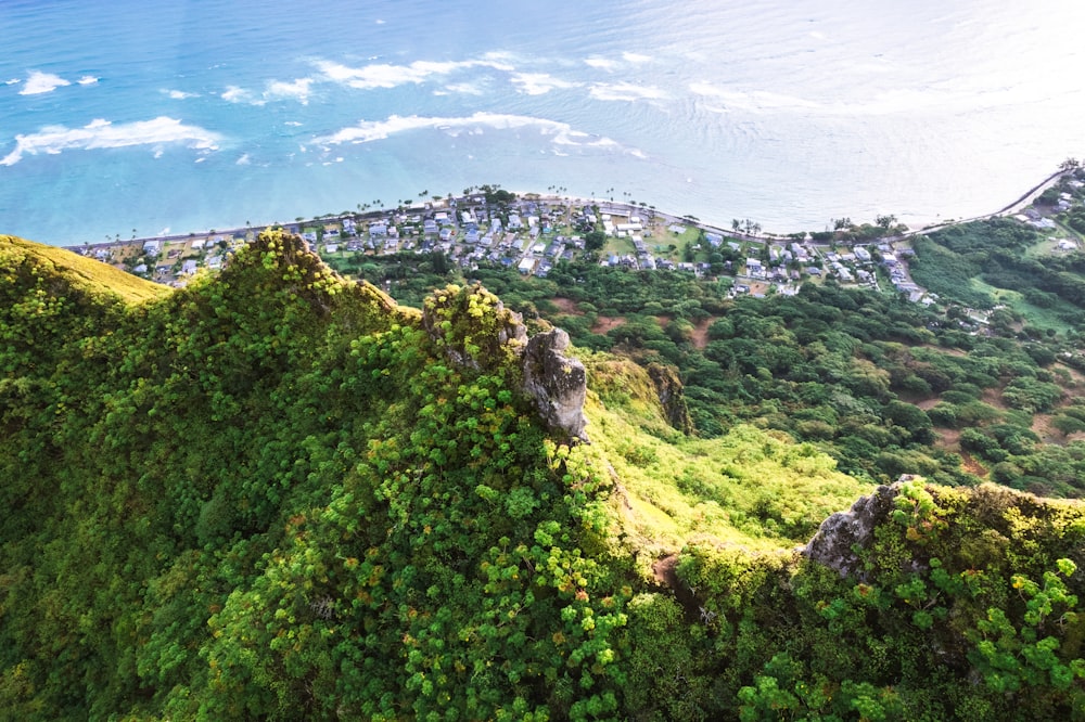an aerial view of a lush green hillside next to the ocean