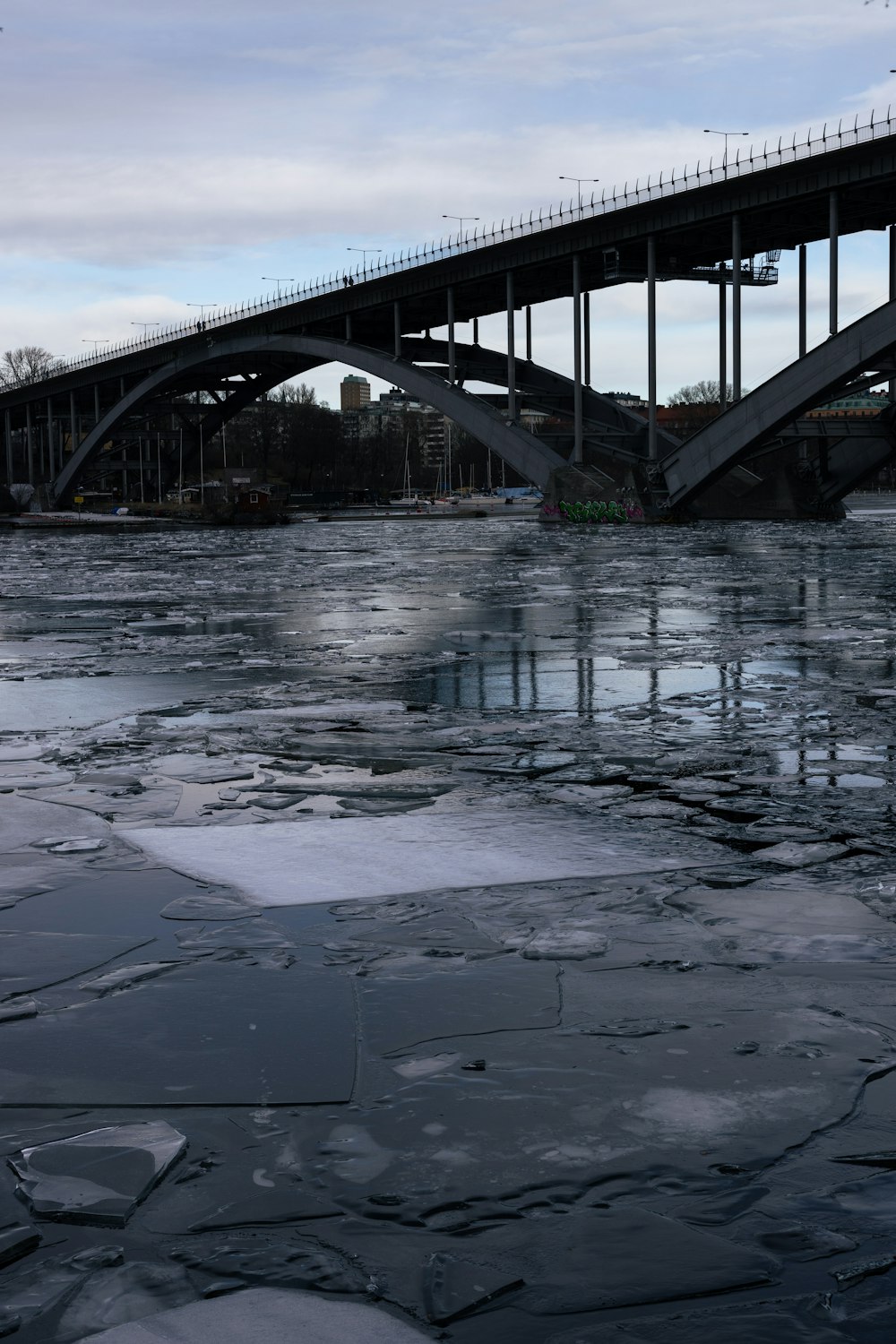 a bridge that is over some ice on the water