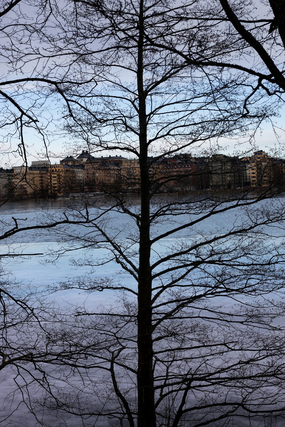 uno specchio d'acqua circondato da alberi ed edifici