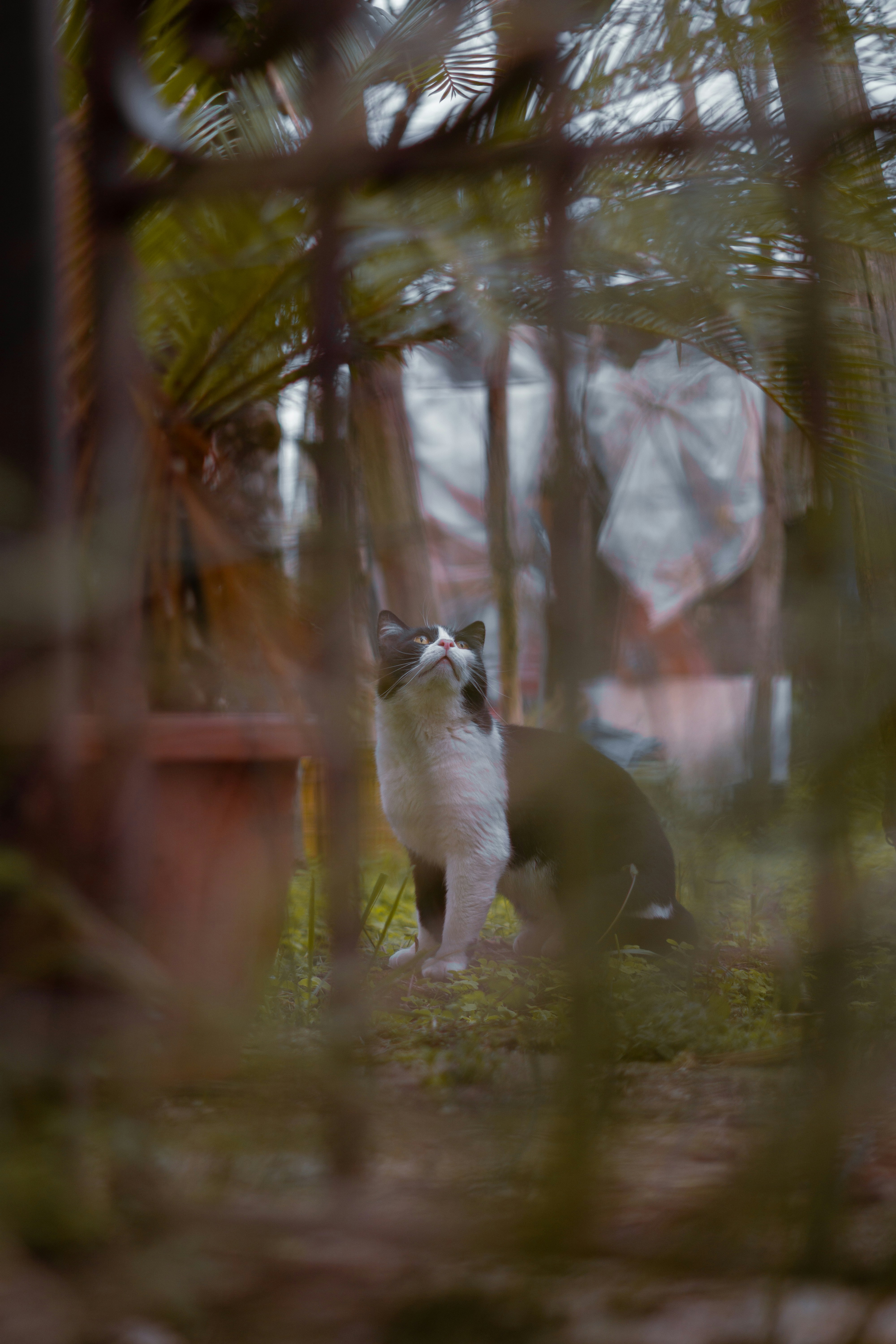 Photo by hardialsingh