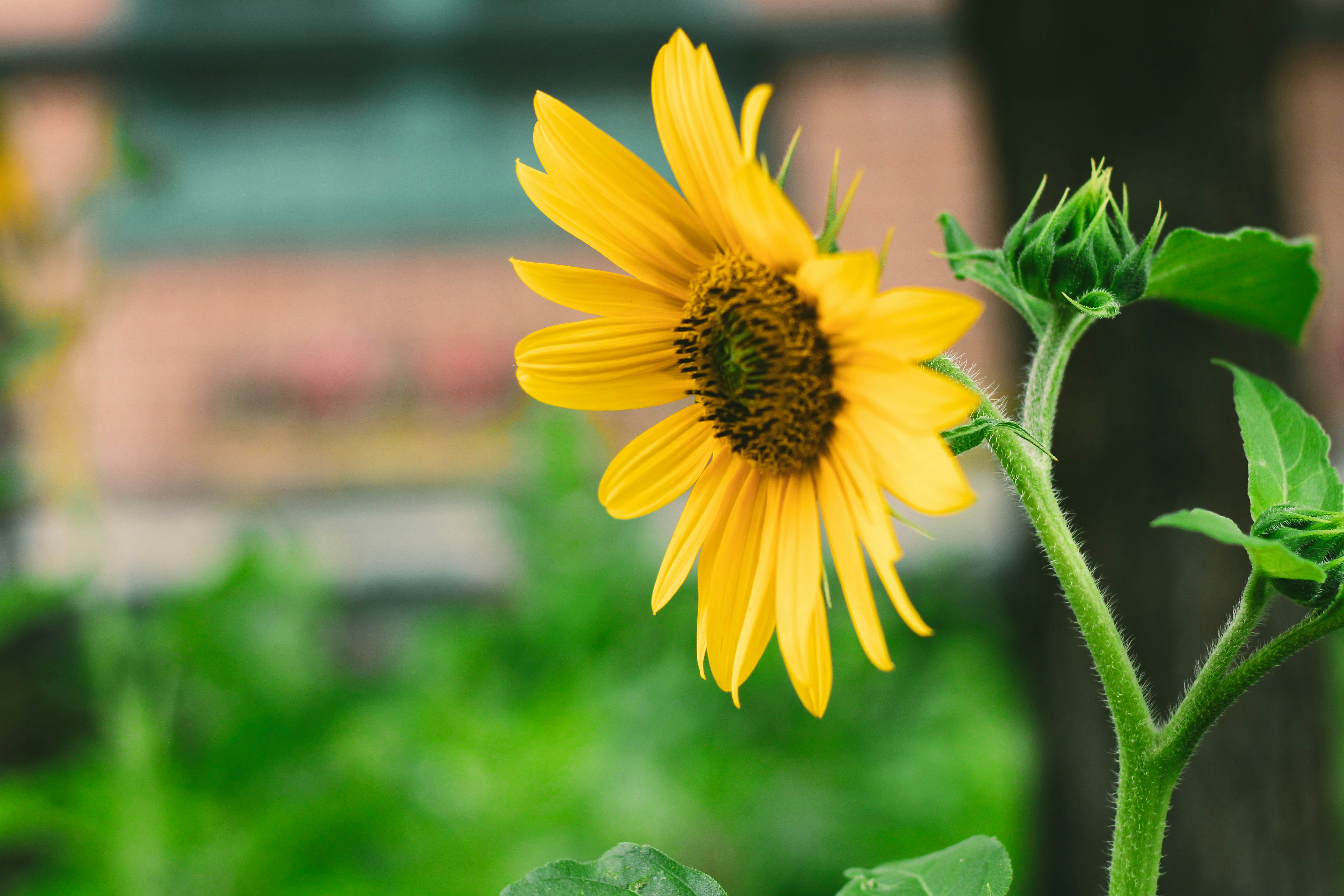 Photo by uncorked_living