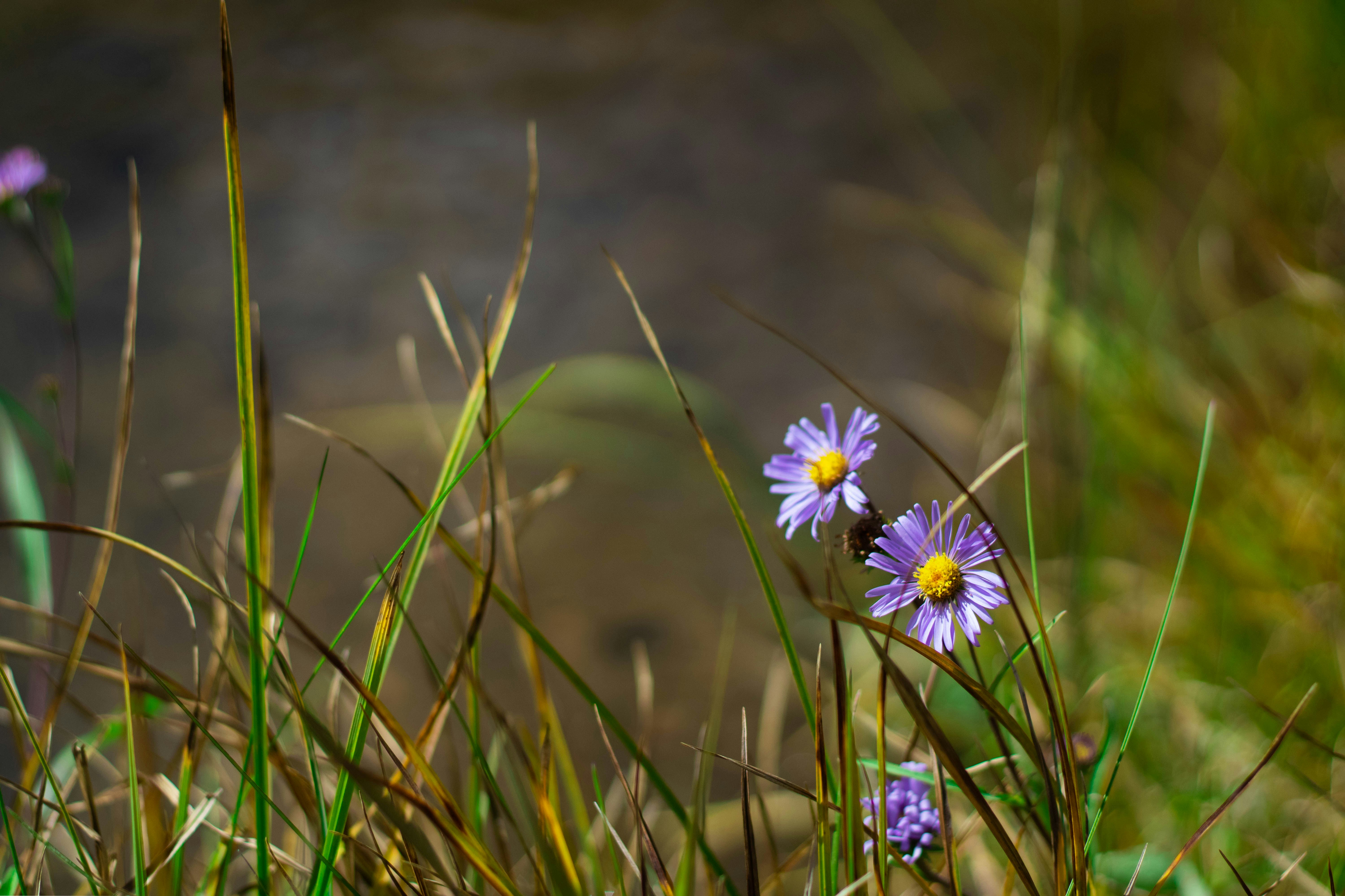 Photo by uncorked_living