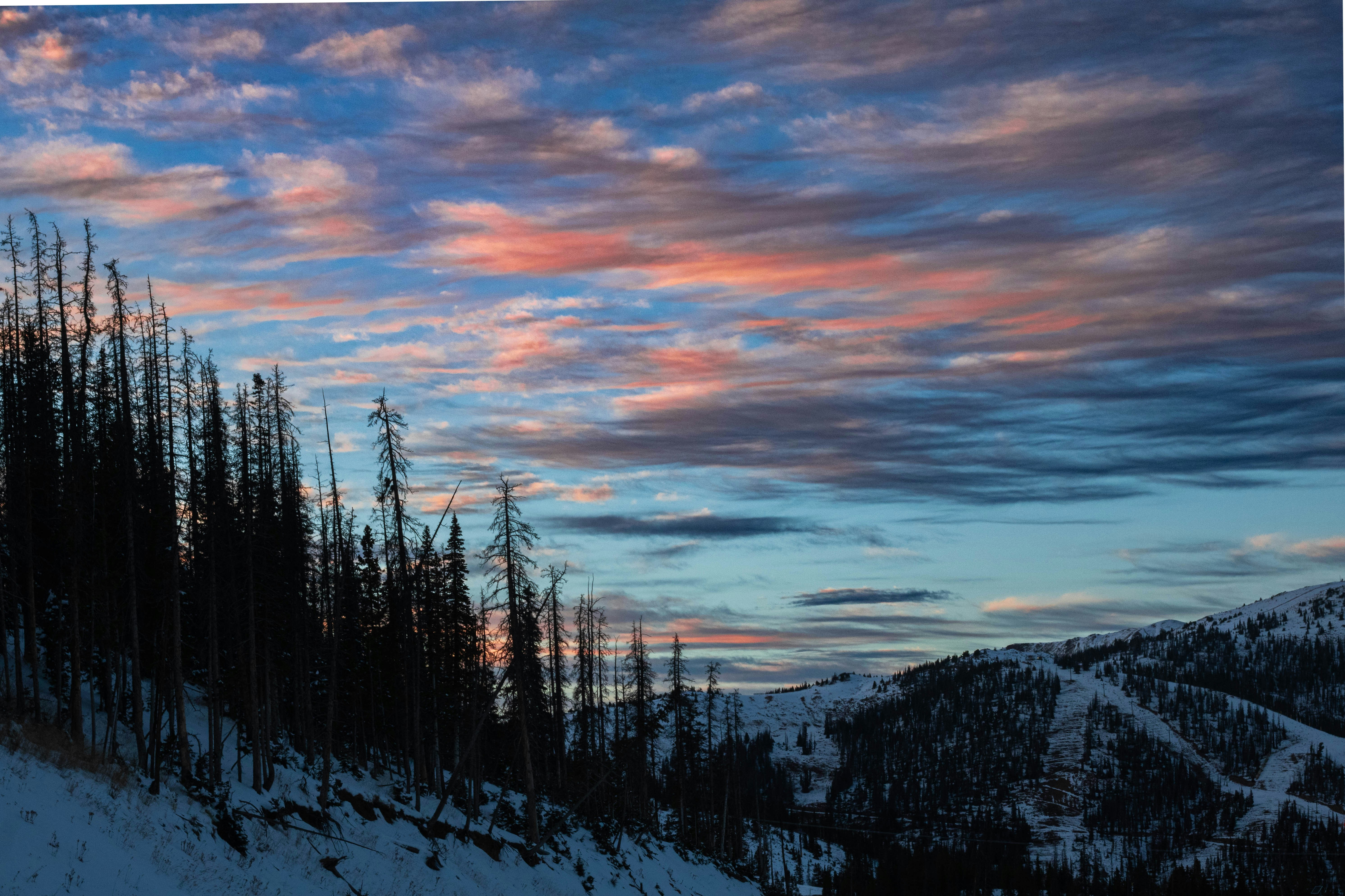 Photo by uncorked_living