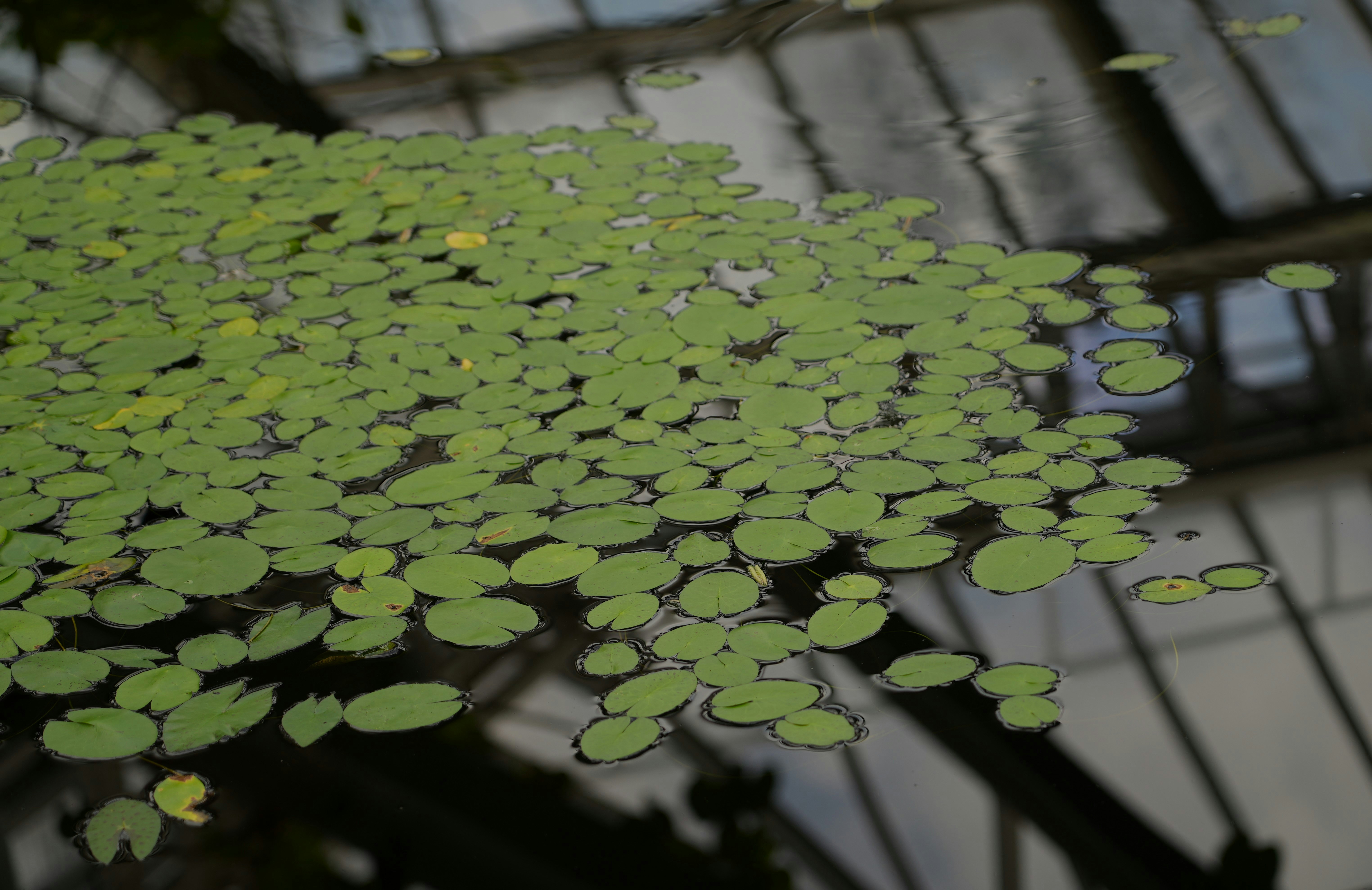 Photo by ievabrinkmane