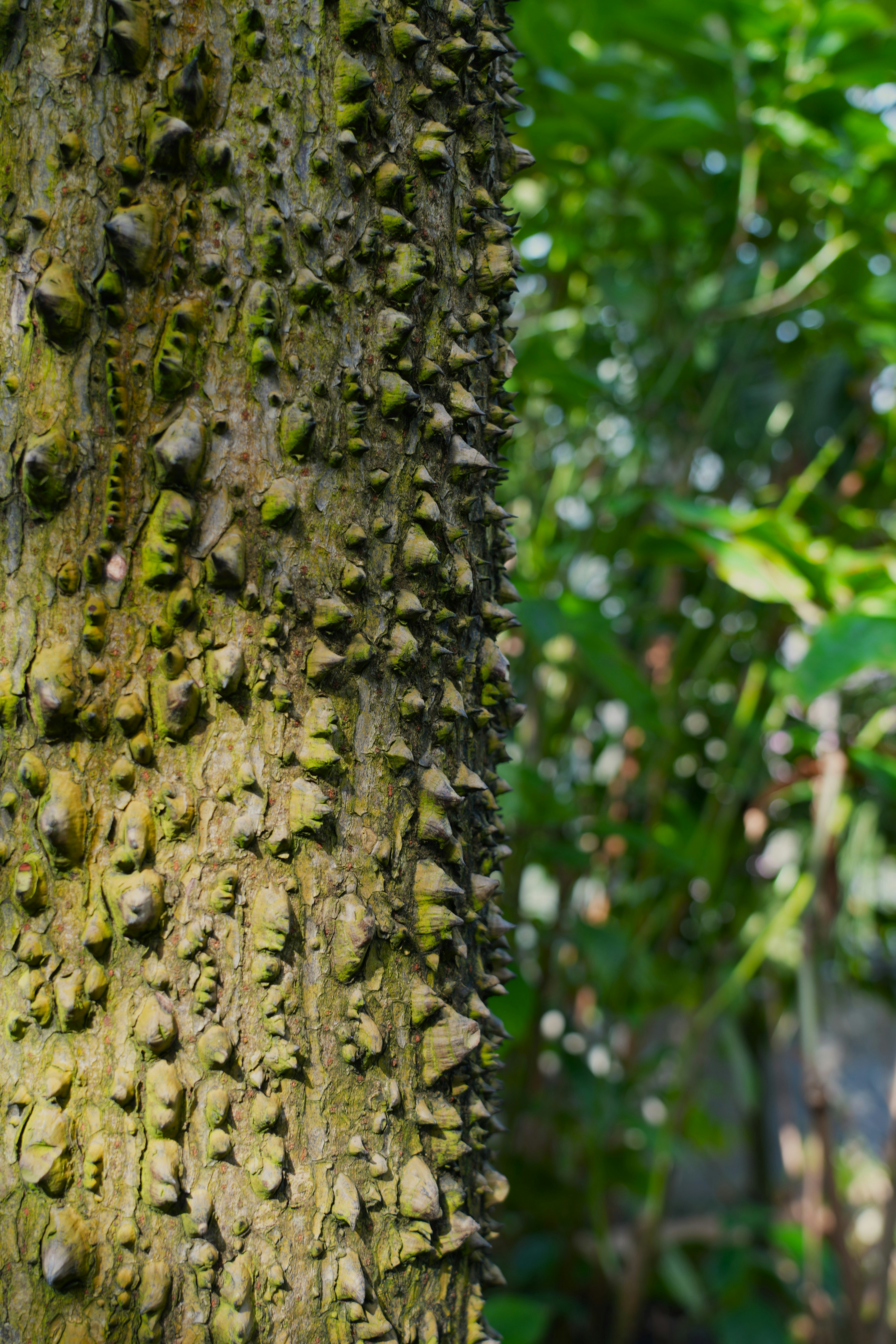 Photo by ievabrinkmane